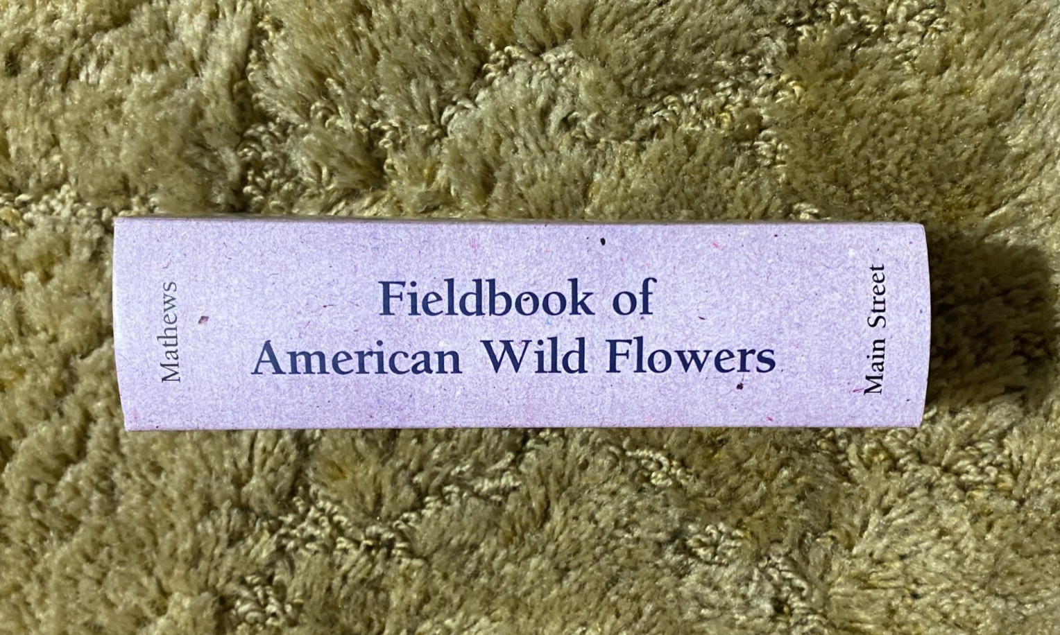 FIELDBOOK OF AMERICAN WILDFLOWERS HARDCOVER F SCHUYLER MATHEWS 2001 FACSIMILE ED