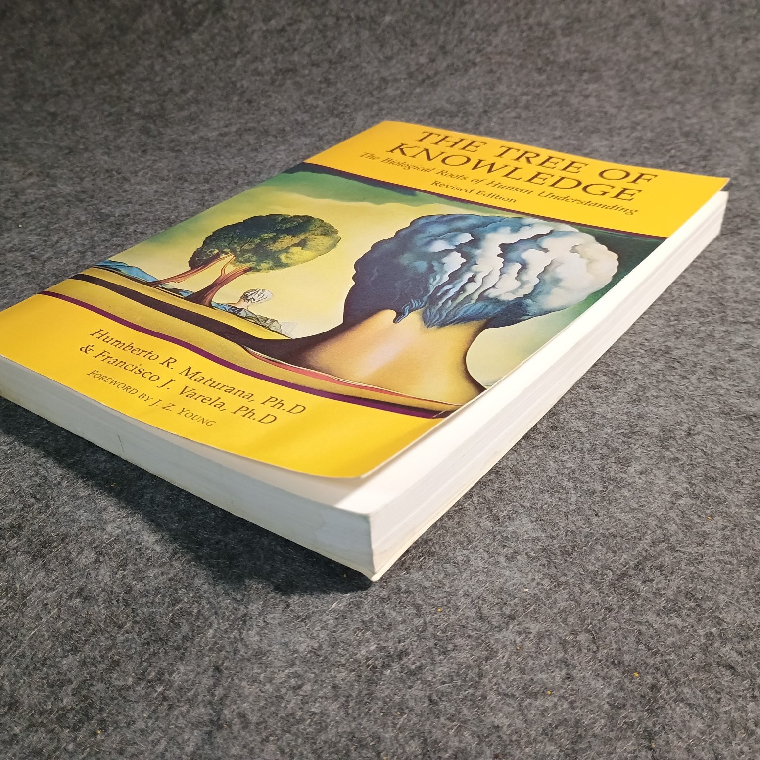 The Tree of Knowledge Maturana Varela 1992 Revised Edition Cognitive Science