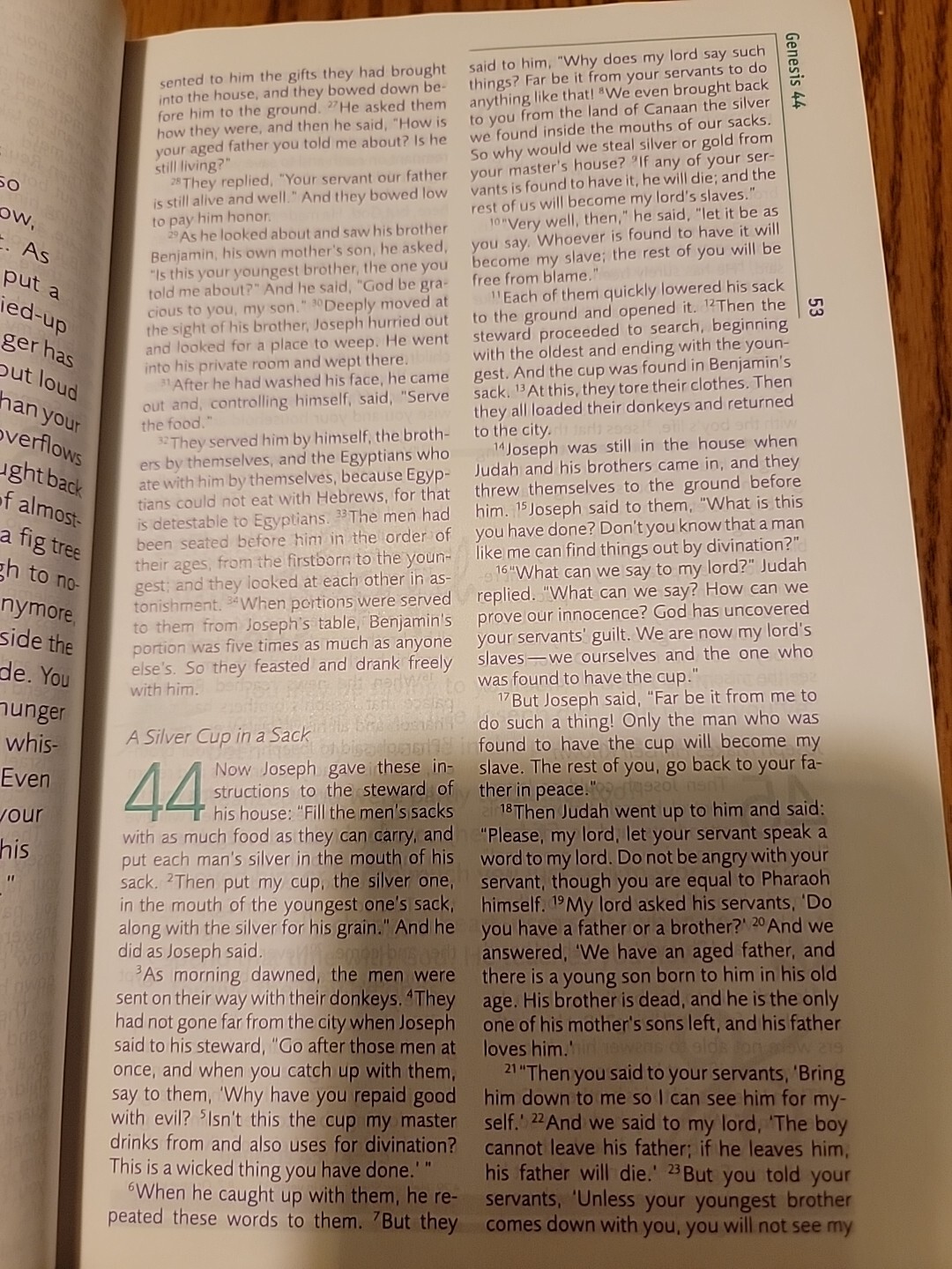 The FaithGirlz Faith Girls Bible – NIV – Hardback