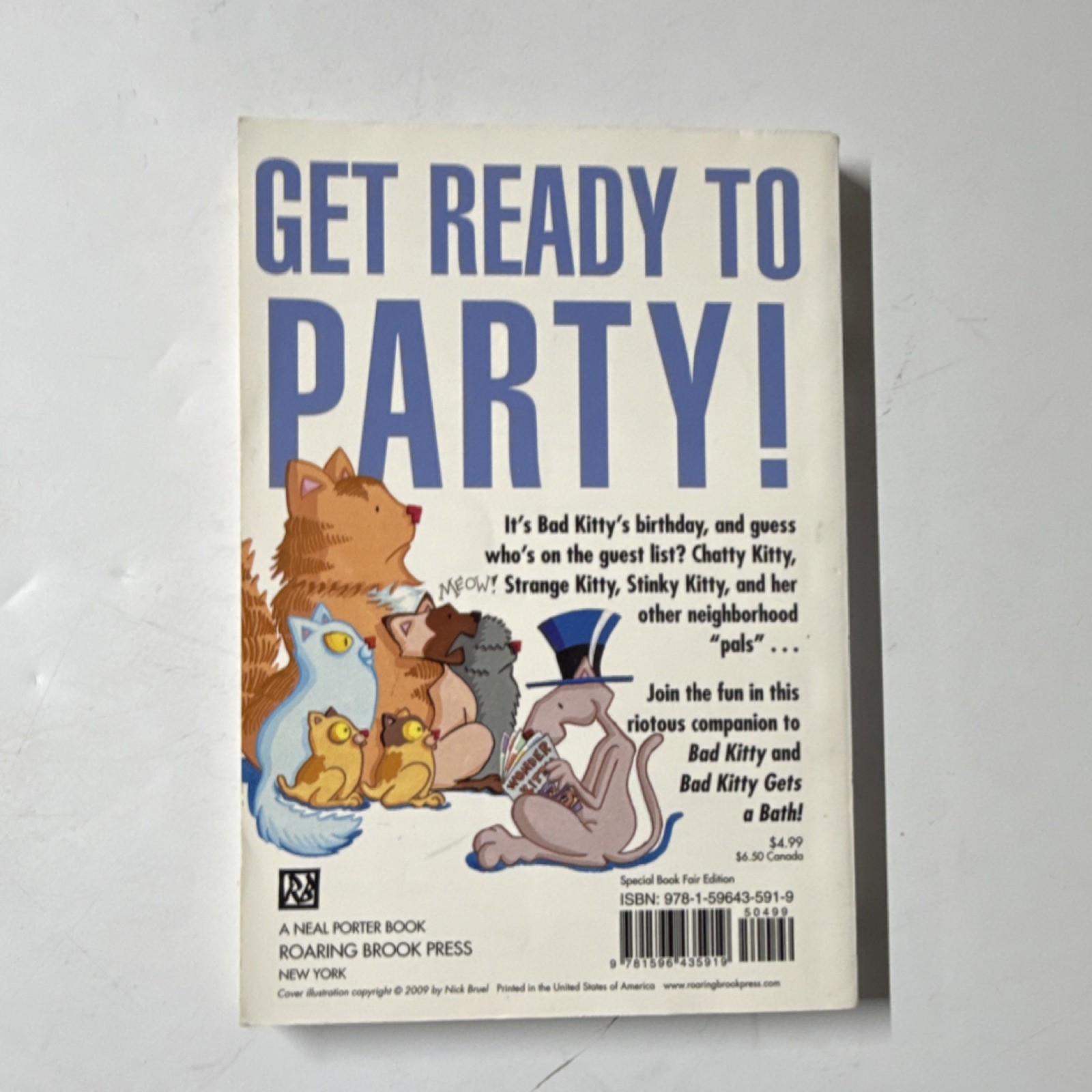 Bad Kitty Ser. Happy Birthday by Nick Bruel Roaring Brook PB Ages 4-8 Cats Humor