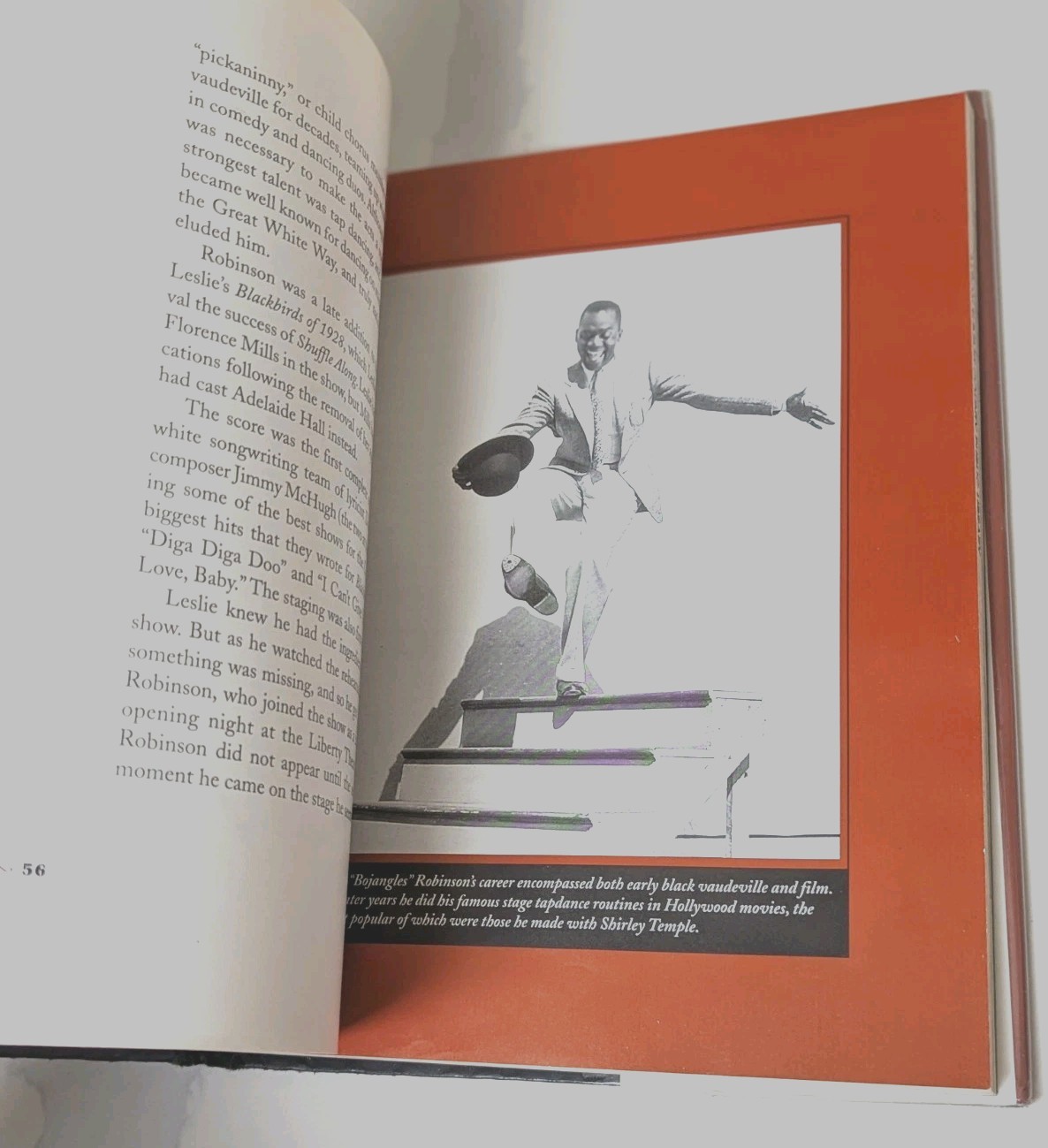 1996 Harlem Renaissance Jim Haskins HC Photos 192p Good Former Library Book