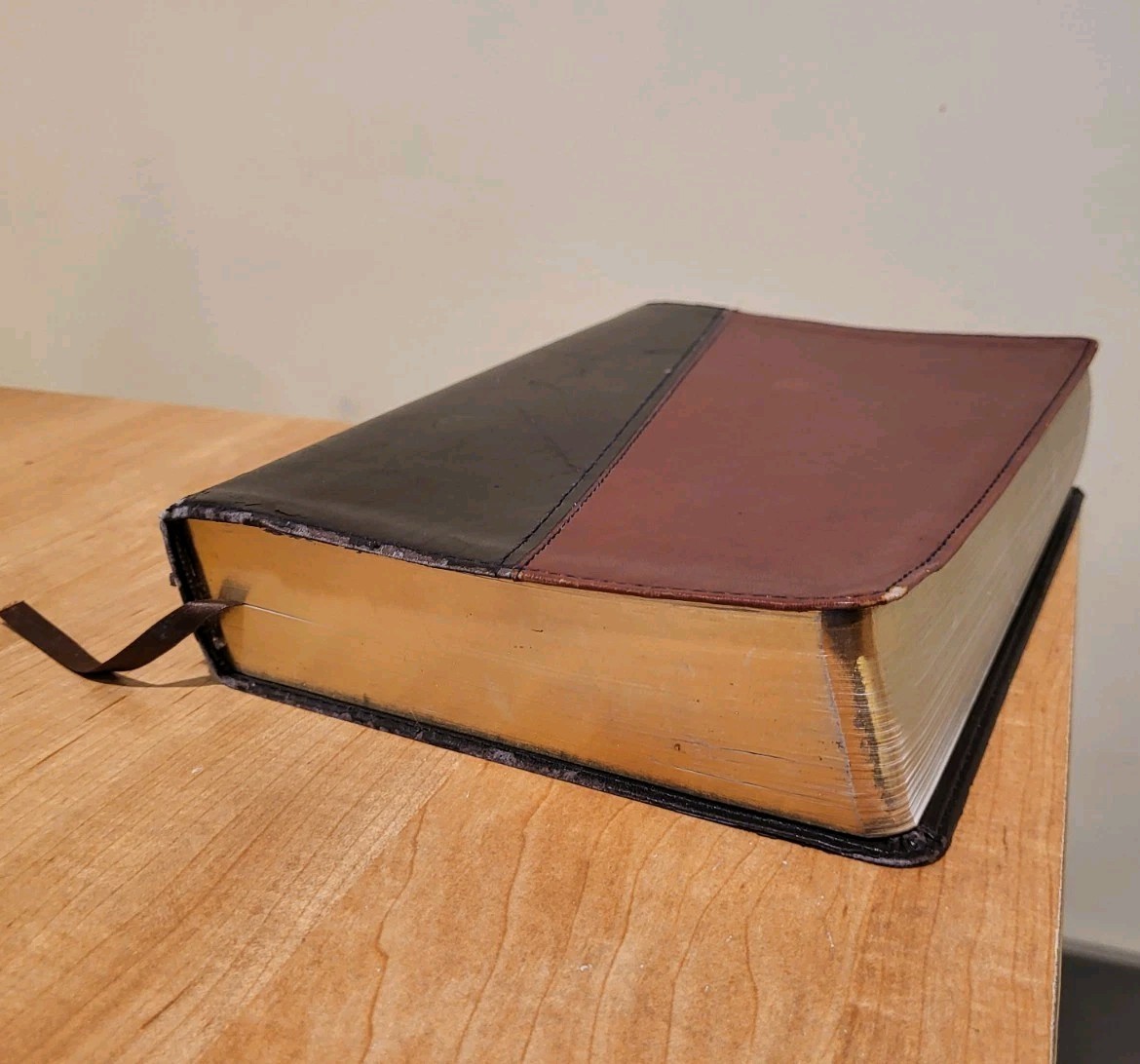 THE NEW LIVING BIBLE New Living Translation TWO TONE SOFTCOVER Tyndale 2004