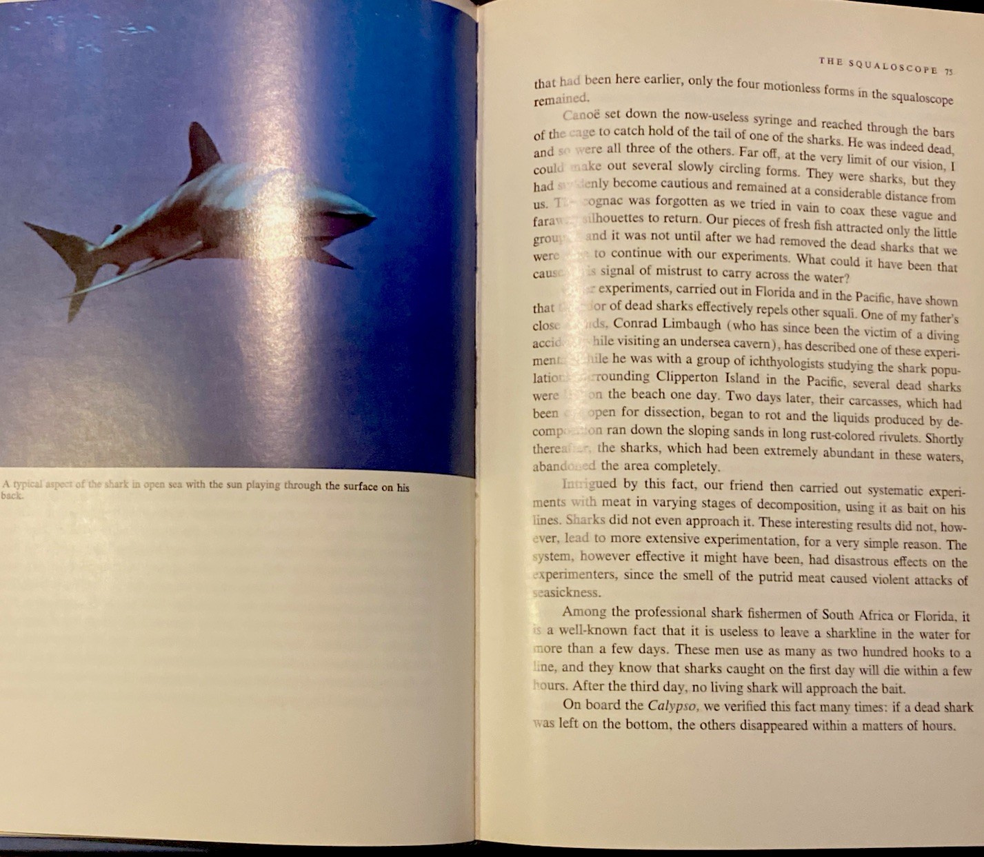 The Shark Splendid Savage Of The Sea by Jacques-Yves & Philippe Cousteau 1970