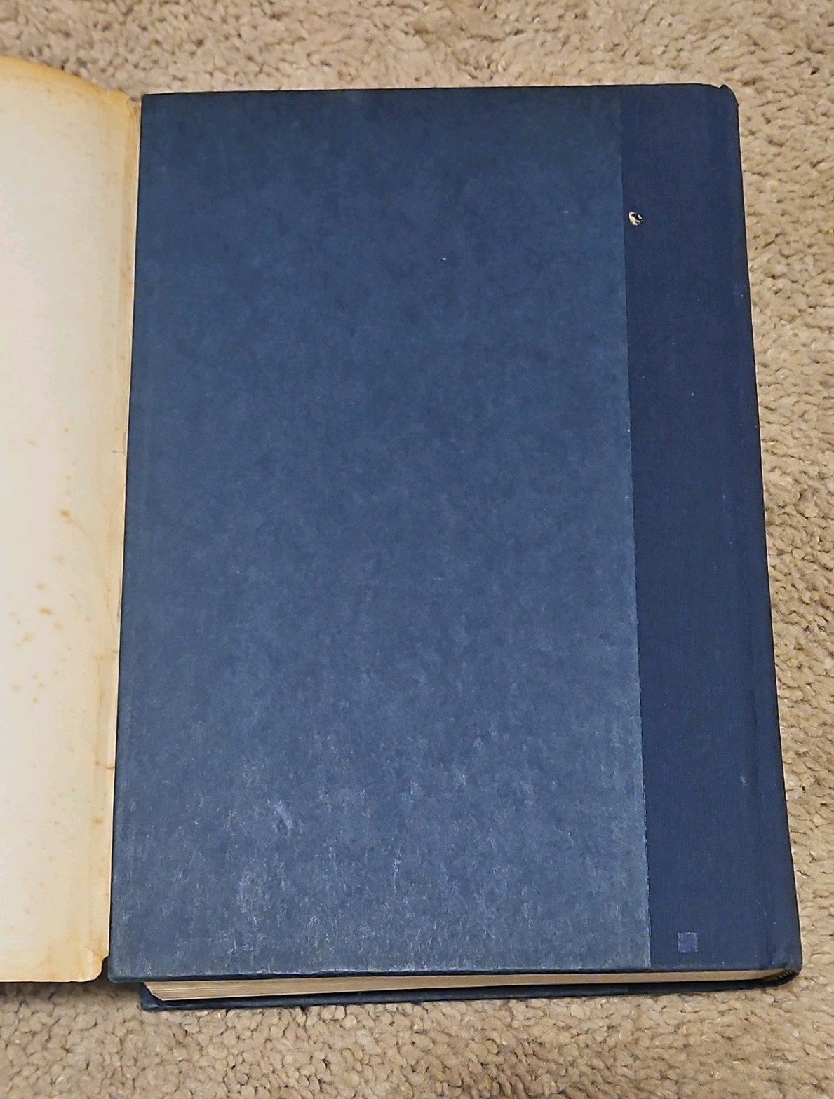 The Power of One by Bryce Courtenay (1989, Hardcover w/ Dust Jacket) BOMC Edtn.