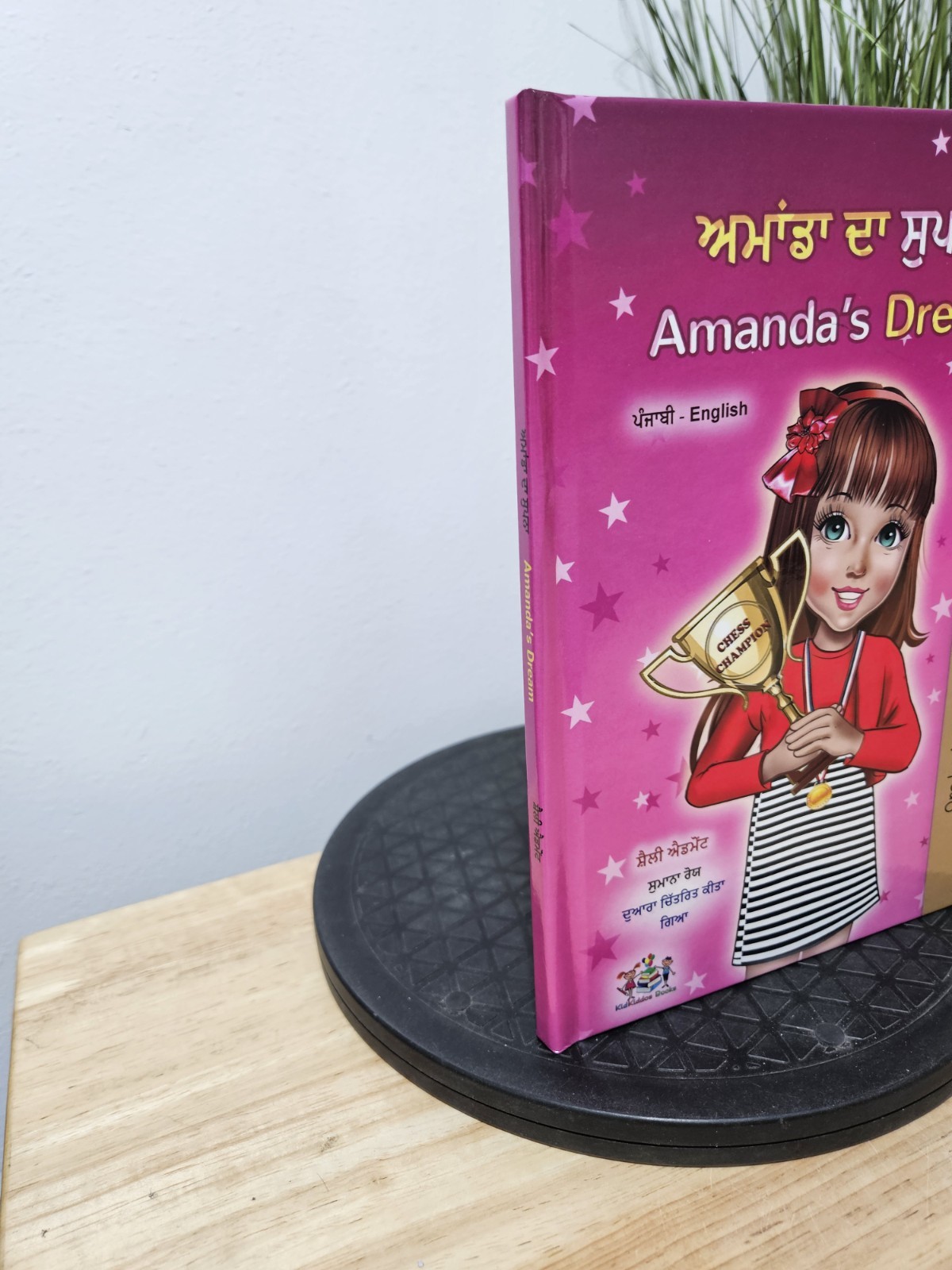 Amanda’s Dream (Punjabi English Bilingual Kids’ Book – Gurmukhi) Hardcover