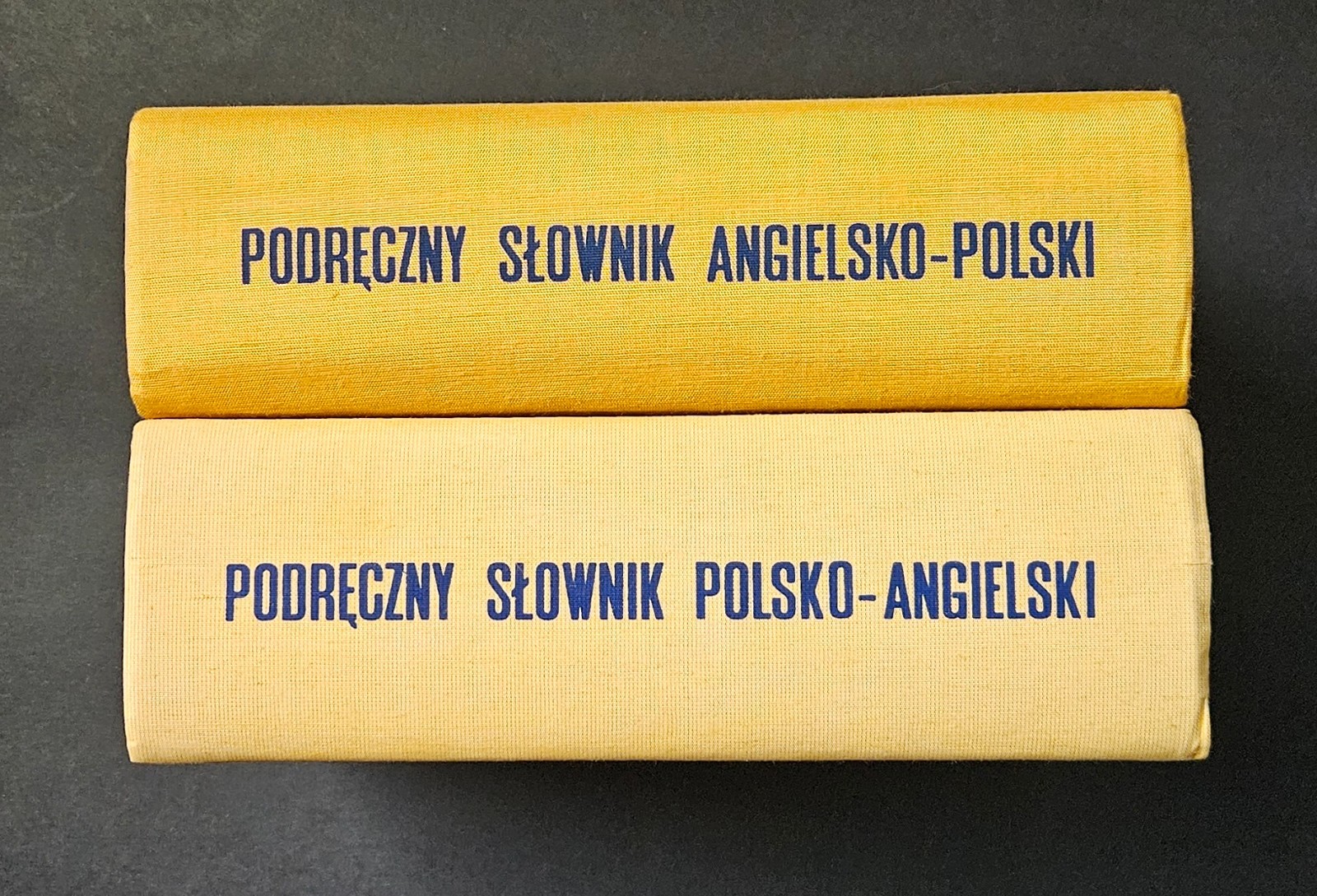 Słownik Angielsko-Polski /English-Polish Dictionary 2 Book Set