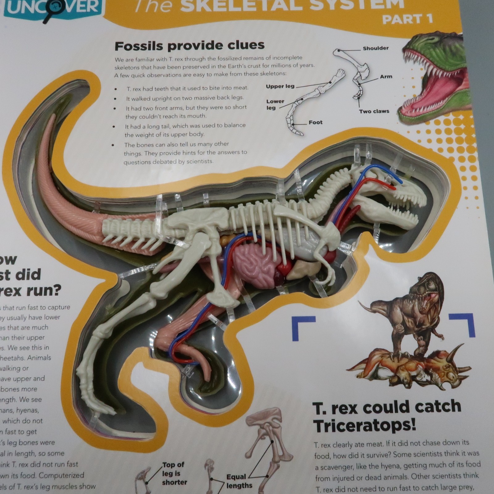 Uncover a T-Rex: An Uncover It Book Board Book By Schatz Dennis 3D