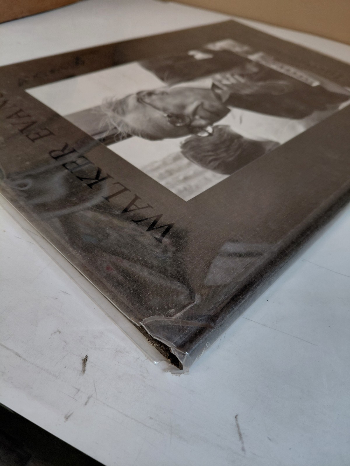 Incognito, by Walker Evans, Eakins Press Foundation, 1995, Limited Edition 2500