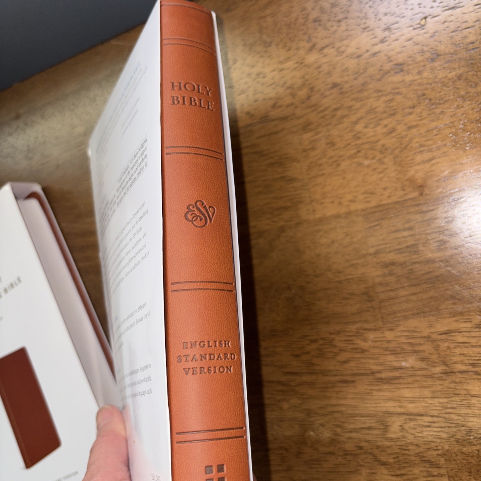 ESV Large Print Value Thinline Bible (Trutone, Camel) by Esv Bibles: New