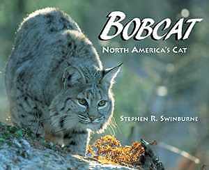 Bobcat – Hardcover, by swinburne stephen r. – Good