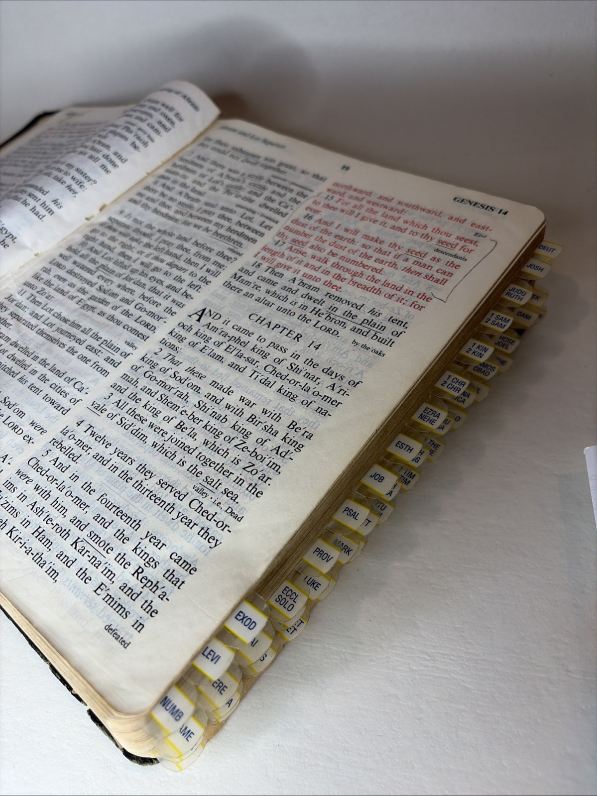 The King James Red Letter Bible In Touch Ministries Study Edition, W/ Dividers