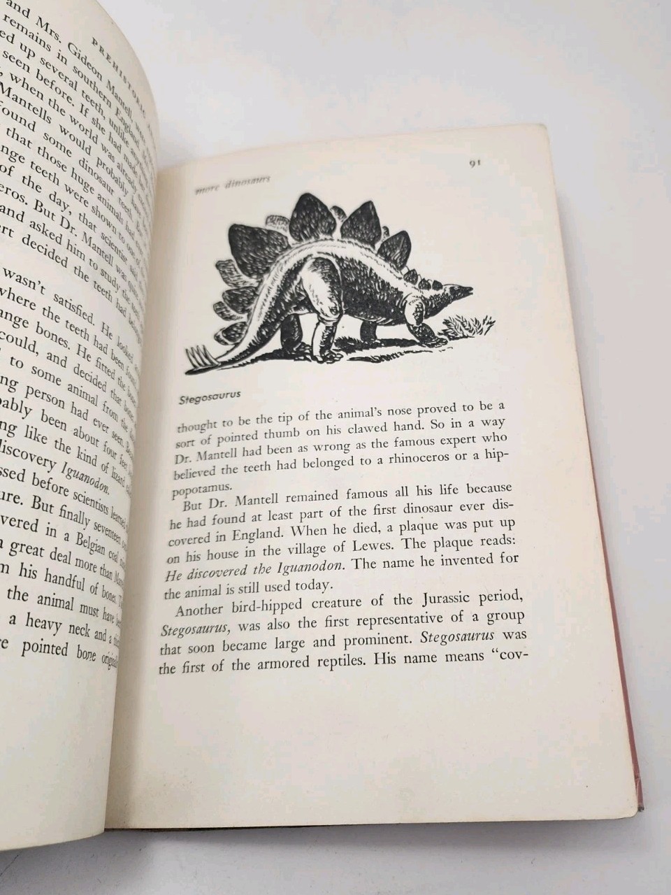 Vtg Prehistoric Animals Sam and Beryl Epstein 1956 1st Print Mylar HCDJ