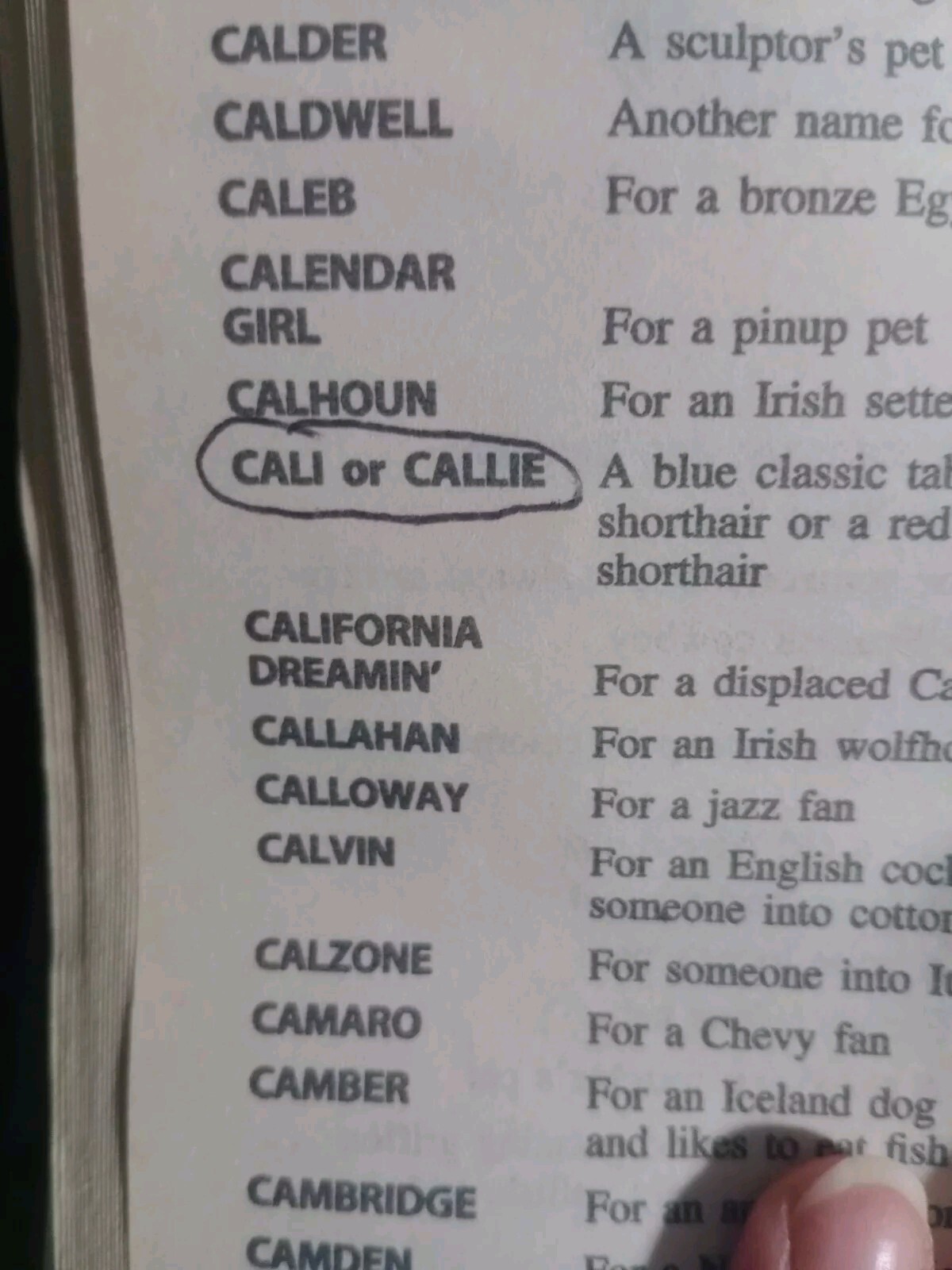1995 Schoolastic “Don’t Call Me Rover: 5001 Names For Your Pet