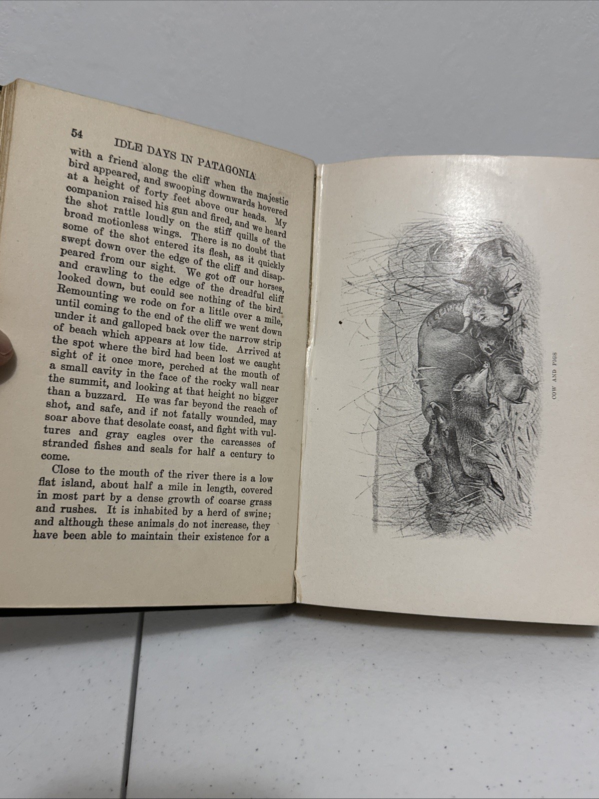 Idle Days in Patagonia by W.H. Hudson-First American Edition-1917