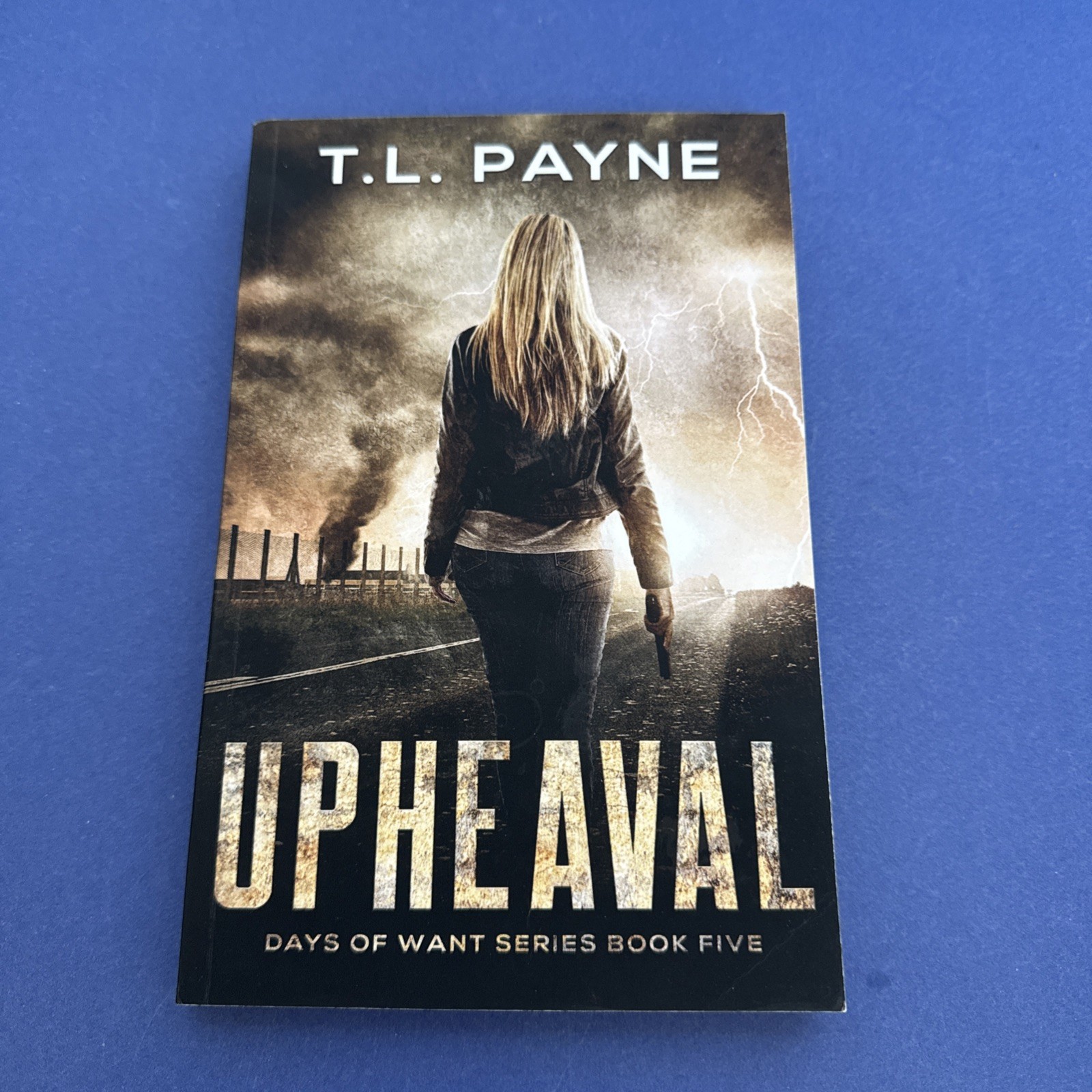 Lot of 7 ~ Trade PB Books ~ T. L. Payne ~ Complete DAYS OF WANT Series