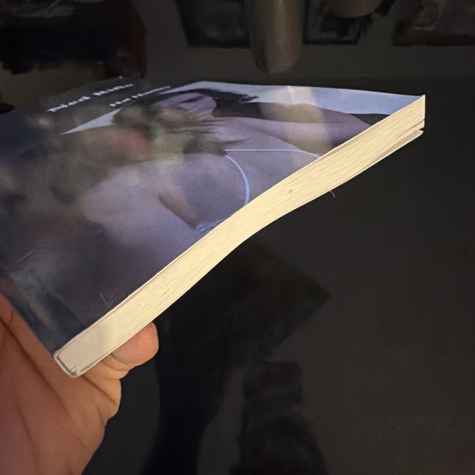 Screenplay for ‘Ned Rifle’ (2014) by Hal Hartley