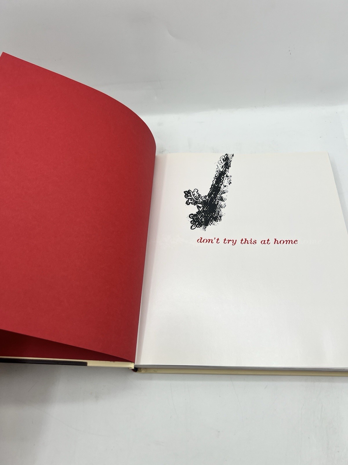 Don’t Try This at Home: A Year in the Life of Dave Navarro 1st Edition/1st Print
