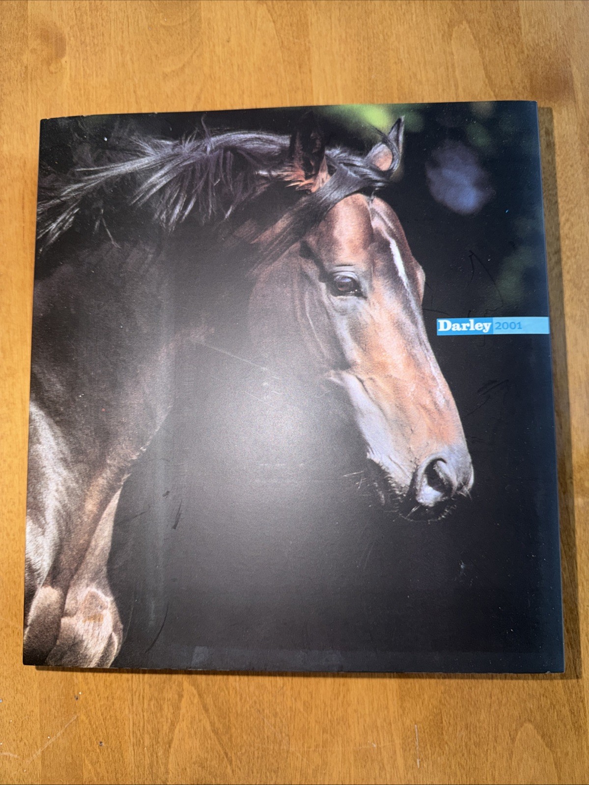 Darley Stallions 2001 Season Book RARE Racing Memorabilia