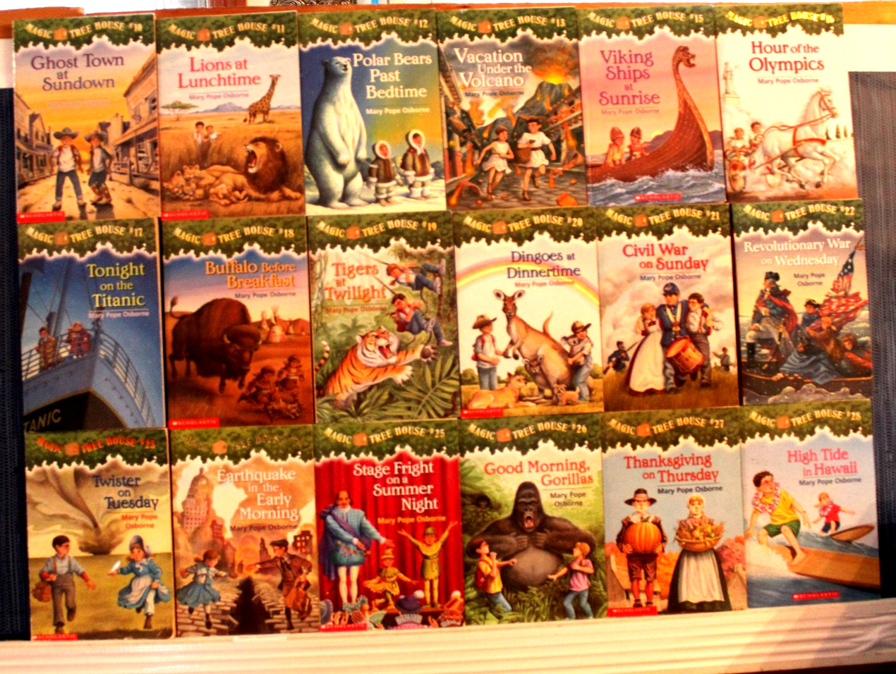 Magic Tree House Series 1-13 & 16-28 Chapter Book Lot Homeschool Teach Osborne