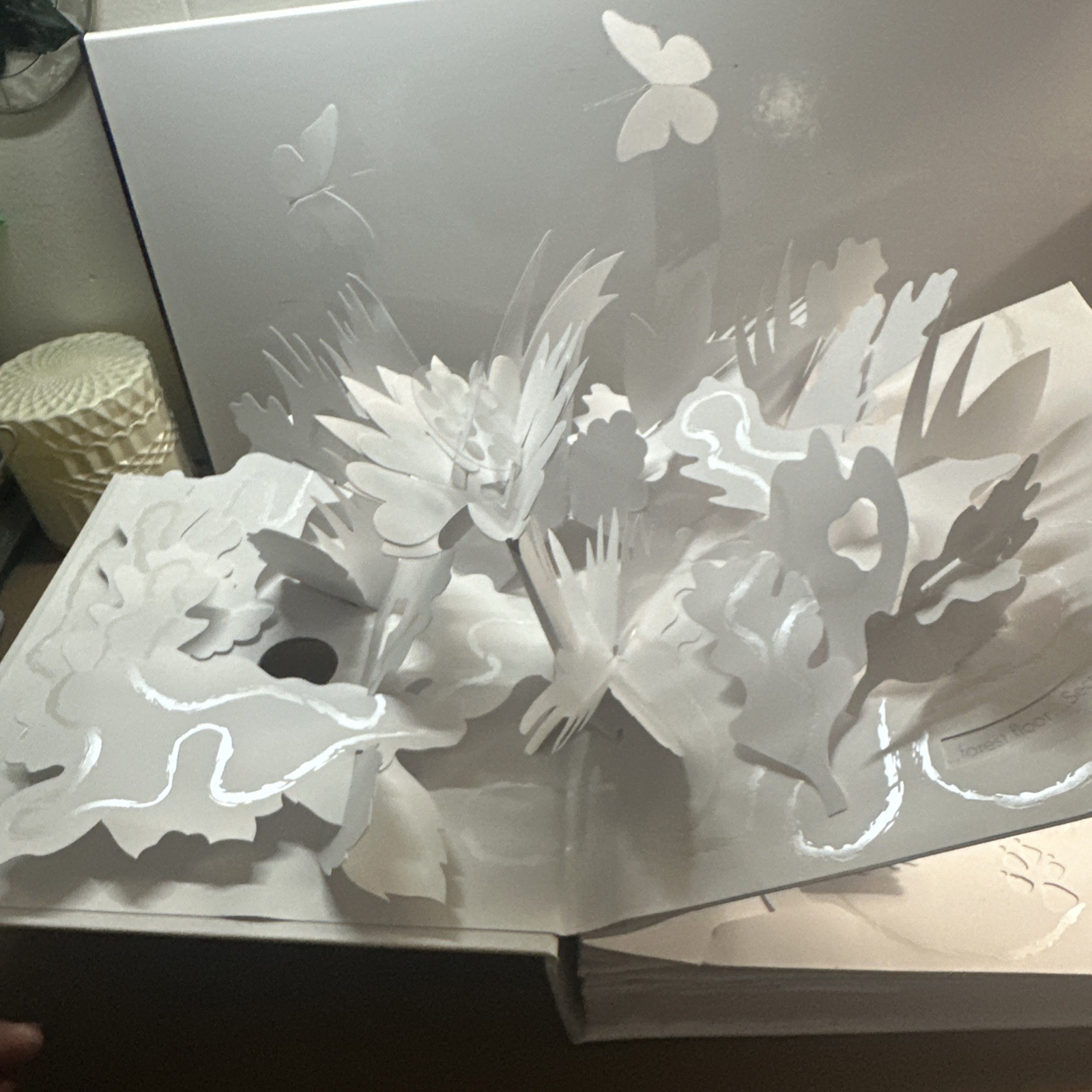 Trail : Paper Poetry by David Pelham (2007, Novelty Book)