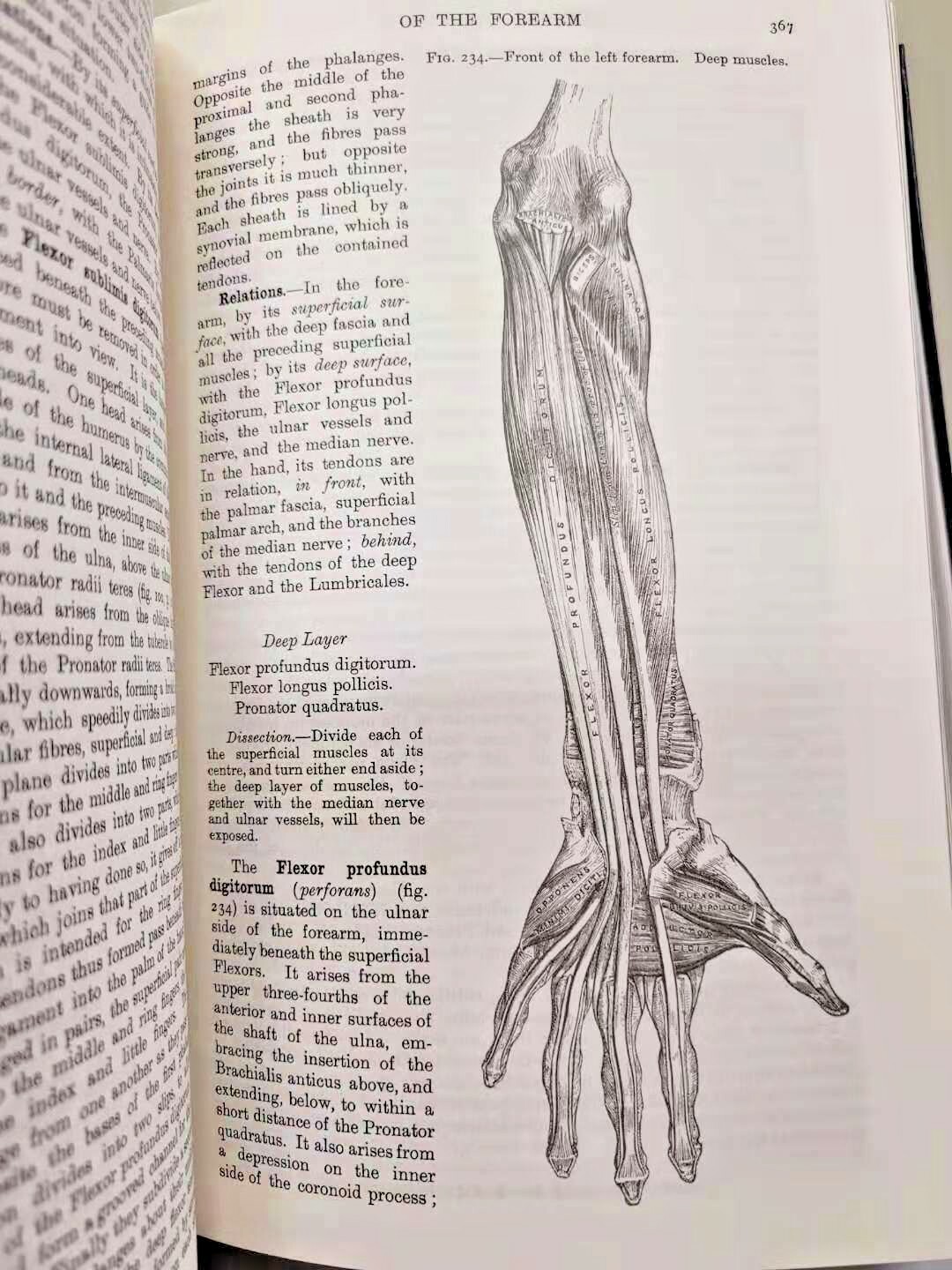 GRAY’S ANATOMY by Henry Gray Deluxe Collectible Bonded Leather *NEW SEALED*
