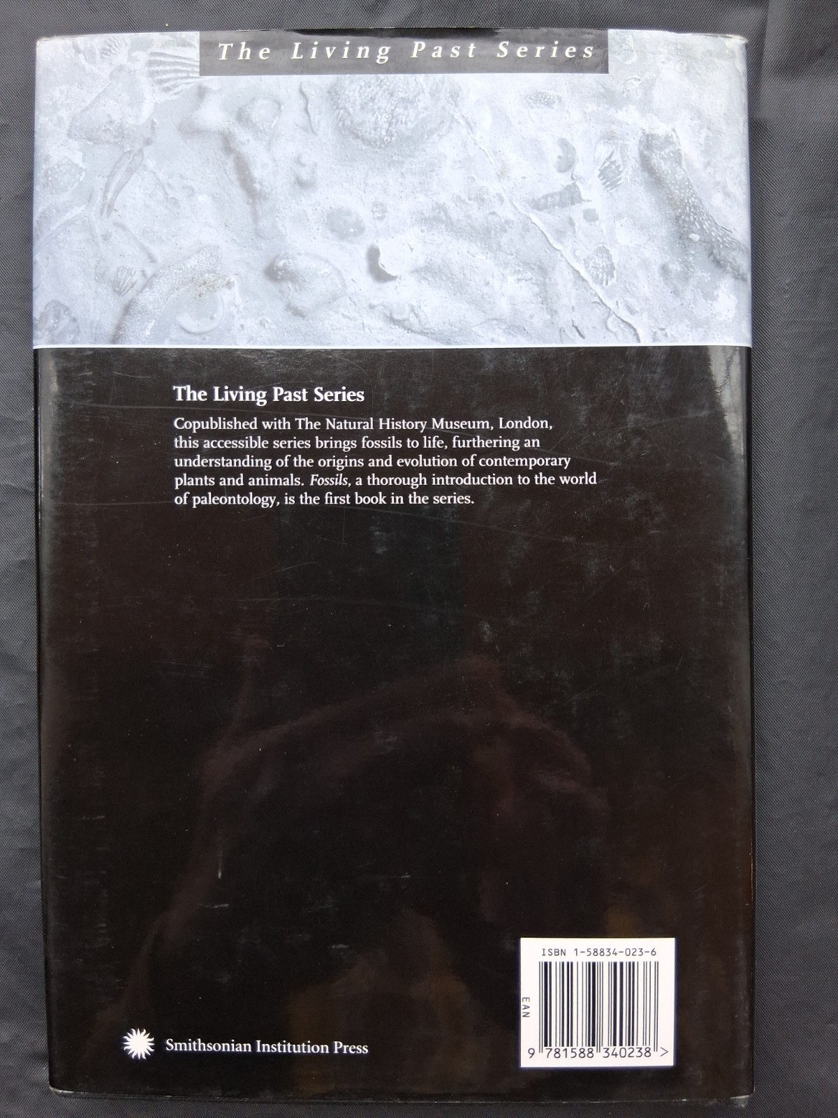 Fossils: The Key to the Past, hardcover book, by Richard Fortey
