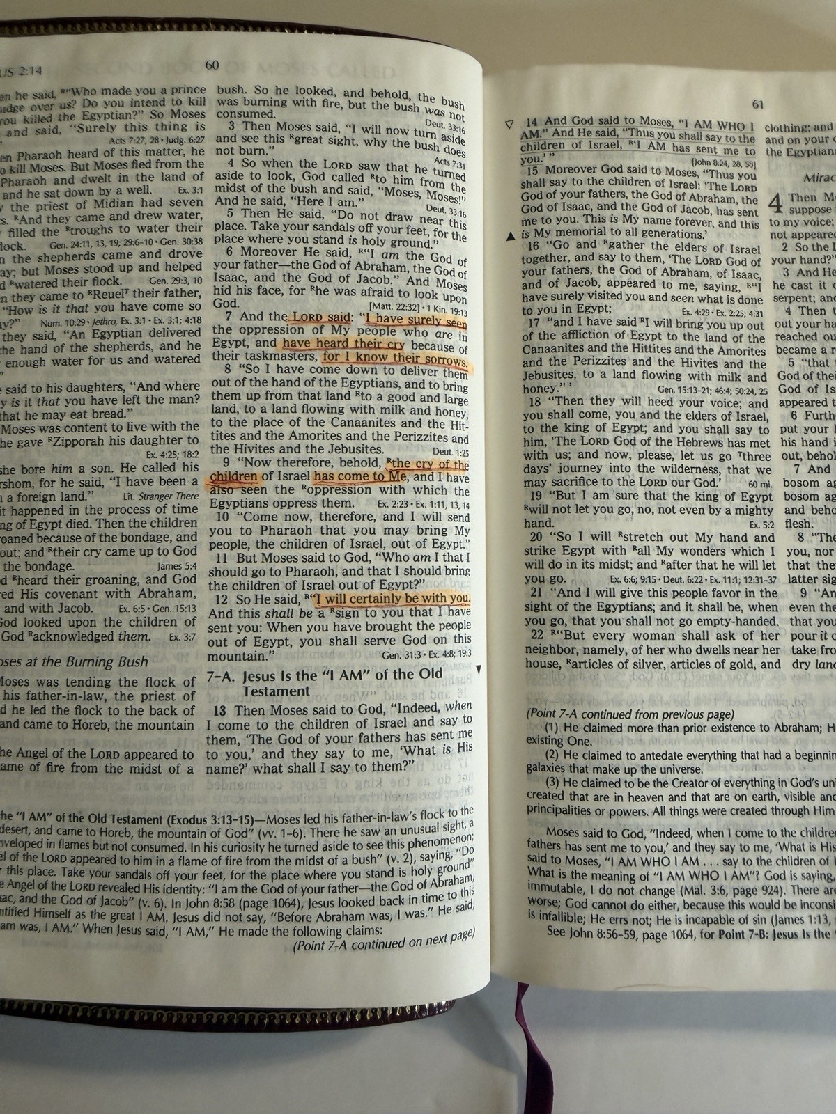 Christian Life Bible Burgundy Genuine Leather Leather NKJV