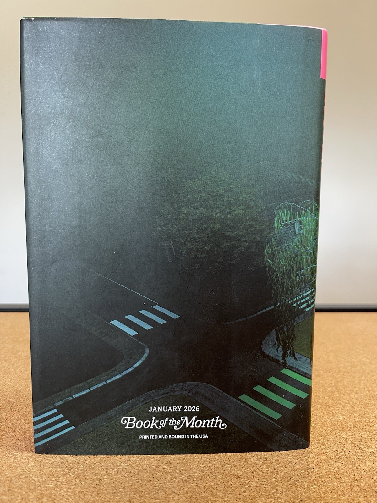 Anatomy Of An Alibi Ashley Elston Hardcover Book Of The Month January 2026