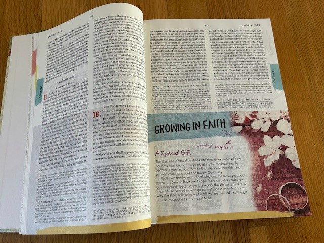 The Catholic Youth Bible, New American Bible Revised 4th Editon 2018