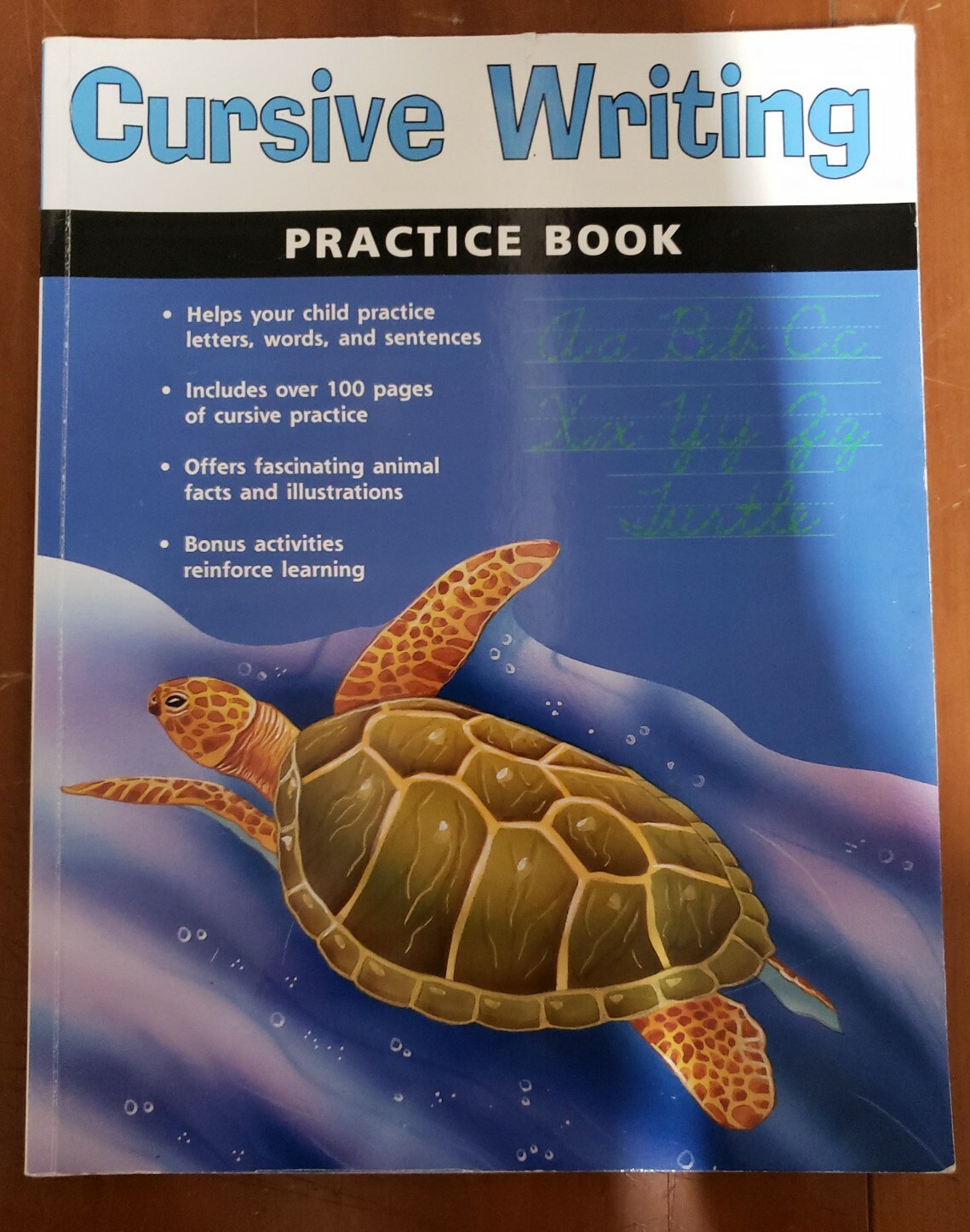Cursive Writing Practice Book (Flash Kids Harcourt Family Learning)