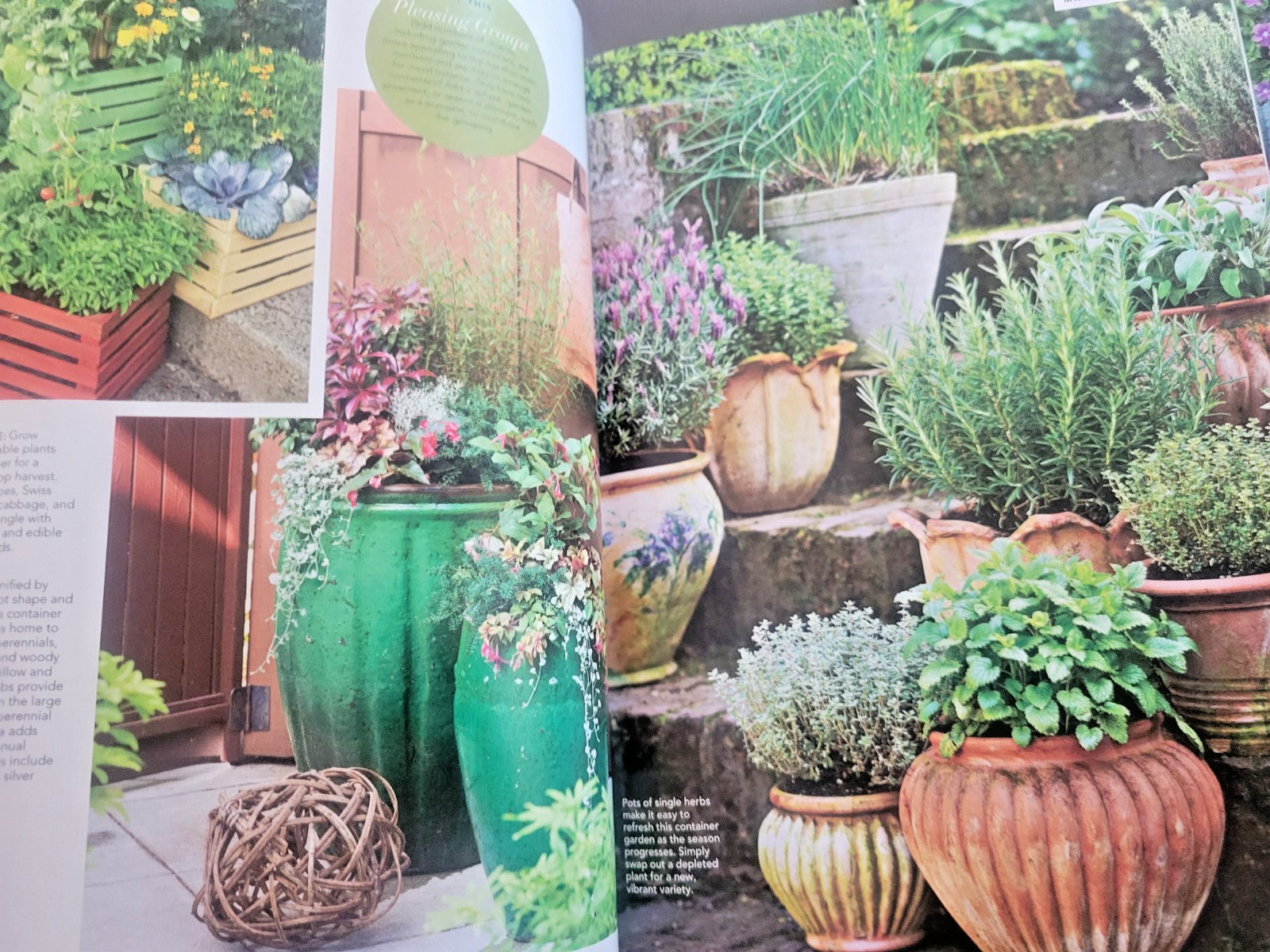 Container Gardening by BH&G – 100 Easy-Care Combos for Sun or Shade- Like A Pro