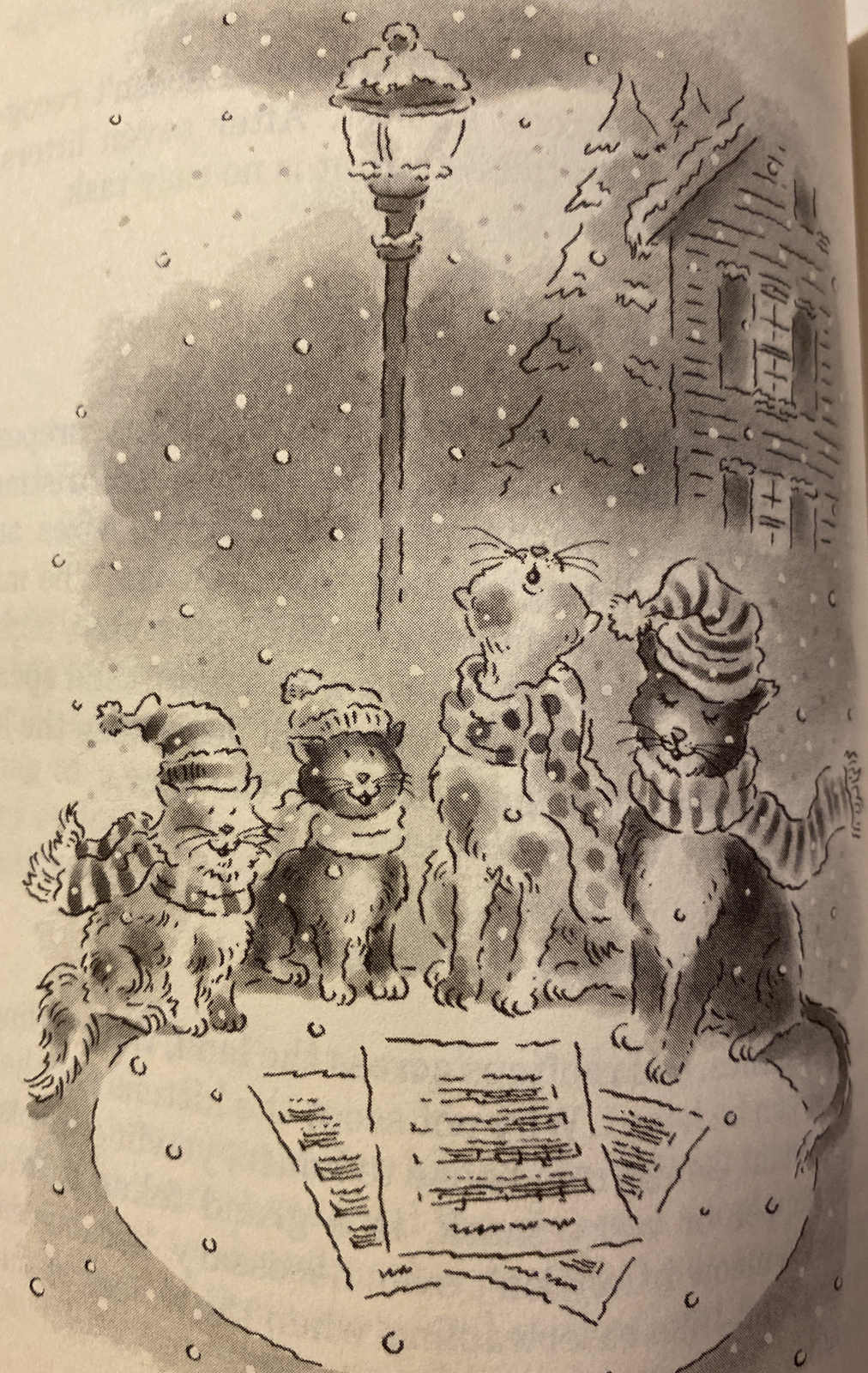 A Cat’s Christmas by Stefanie Samek (1996, 1st Hardcover) Larry Ross