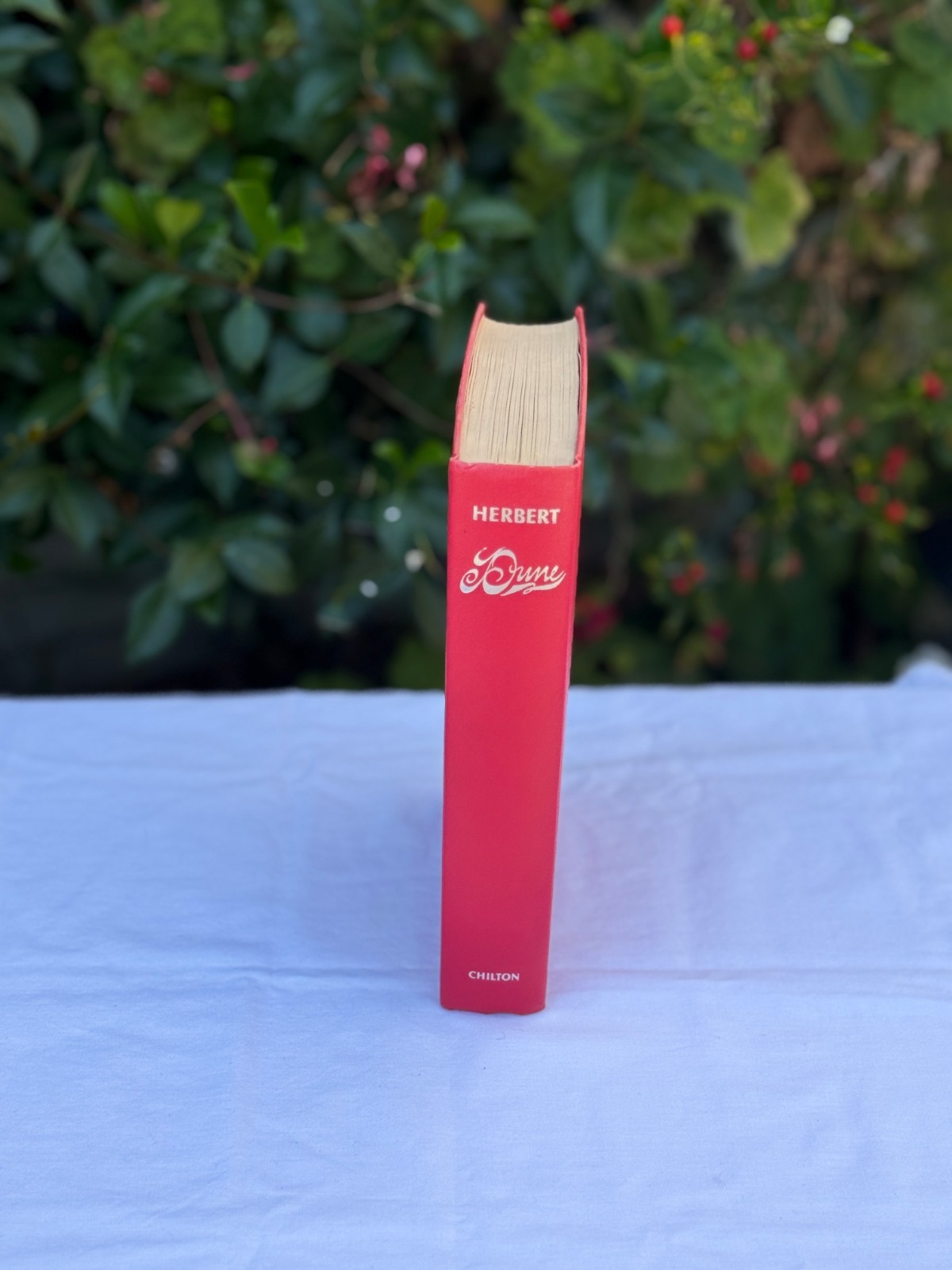 Dune by Frank Herbert Book Club Edition 1965 Hardcover – RARE