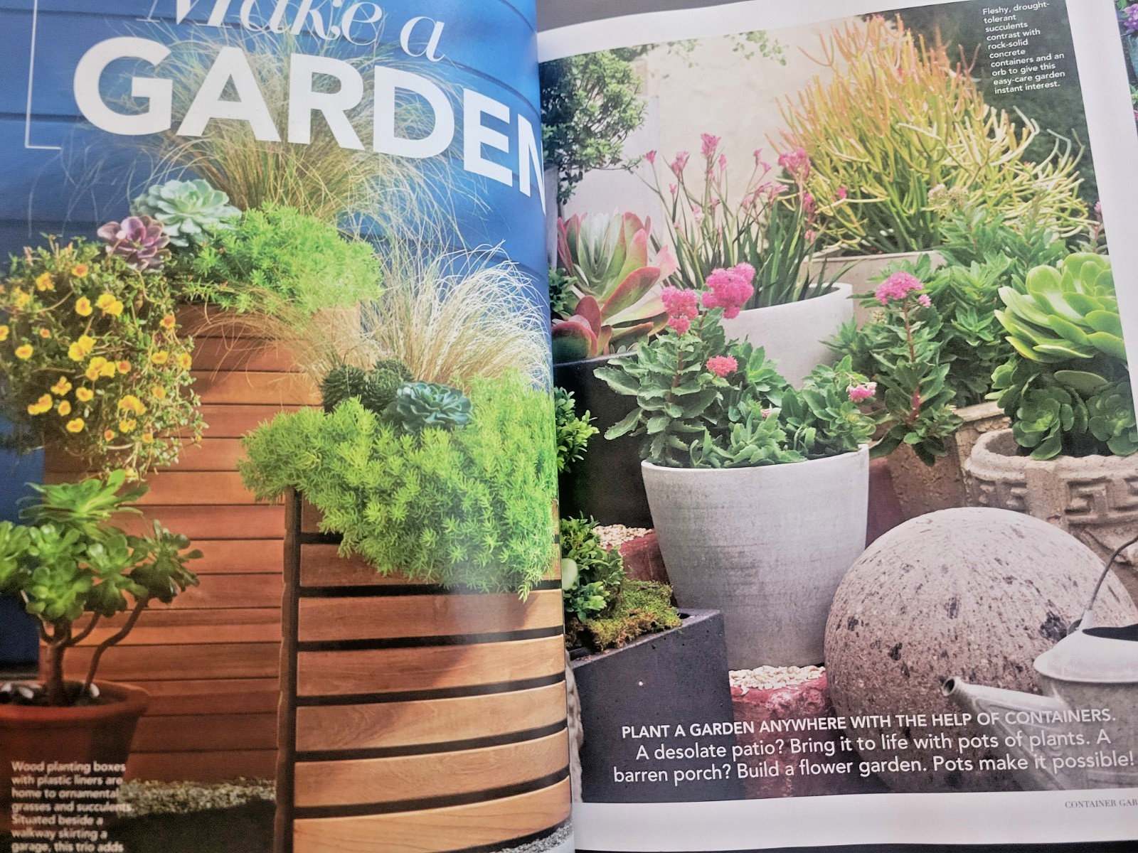 Container Gardening by BH&G – 100 Easy-Care Combos for Sun or Shade- Like A Pro