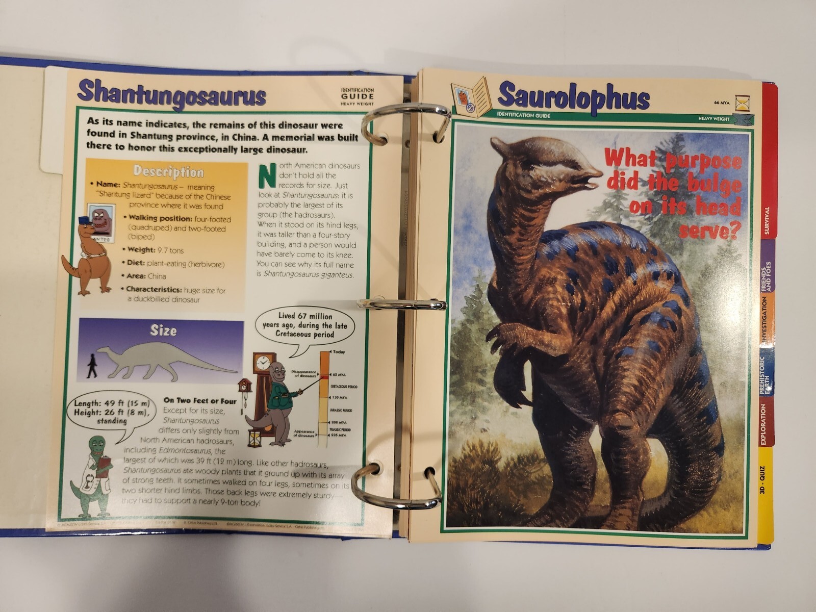 Dinosaur Cards By Newfield Publication 1994. 3 Ring Binder and 83 Pages/Inserts