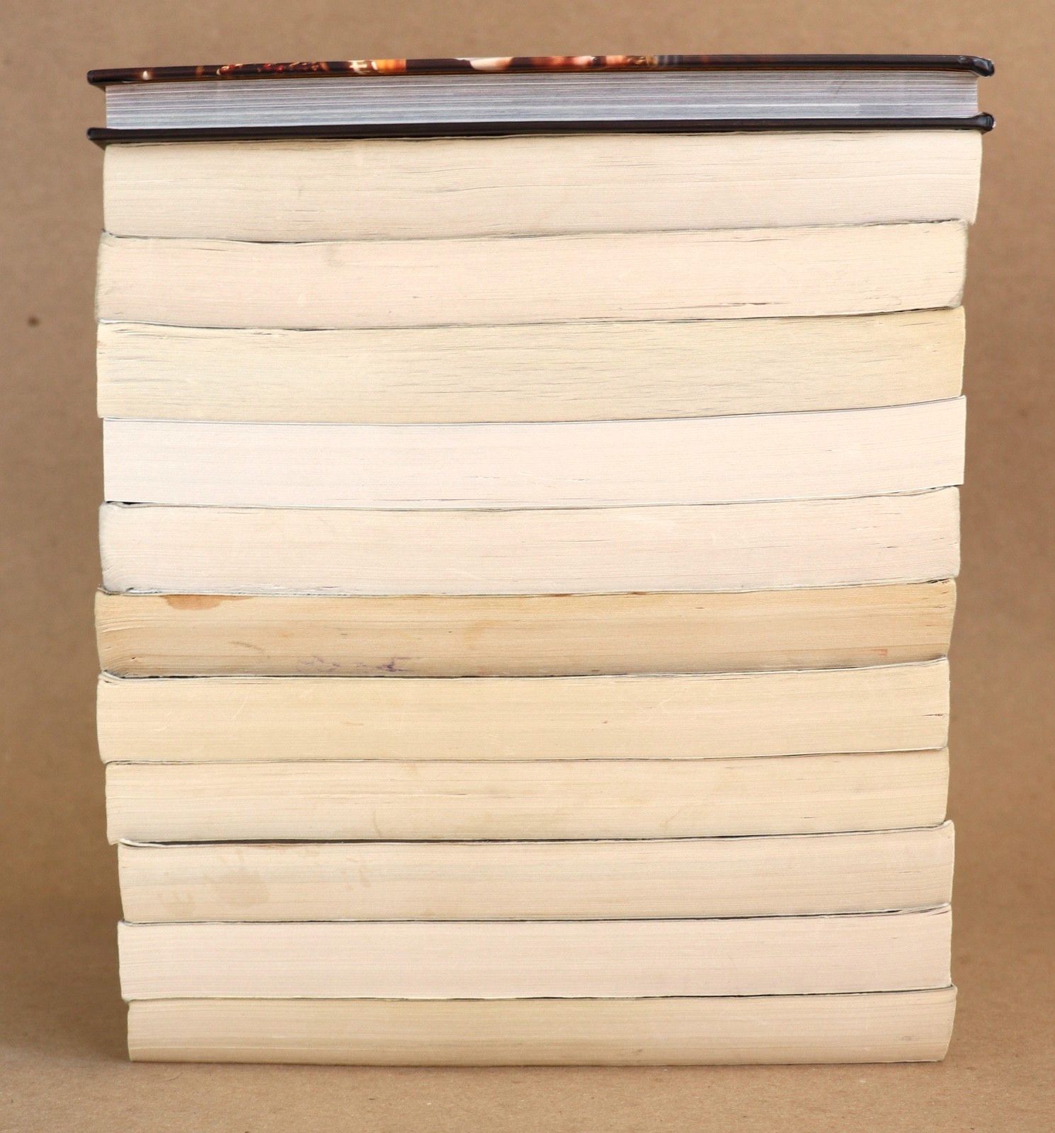 10 THE HUNGER GAMES by Suzanne Collins GUIDED READING Teachers Set + Extras