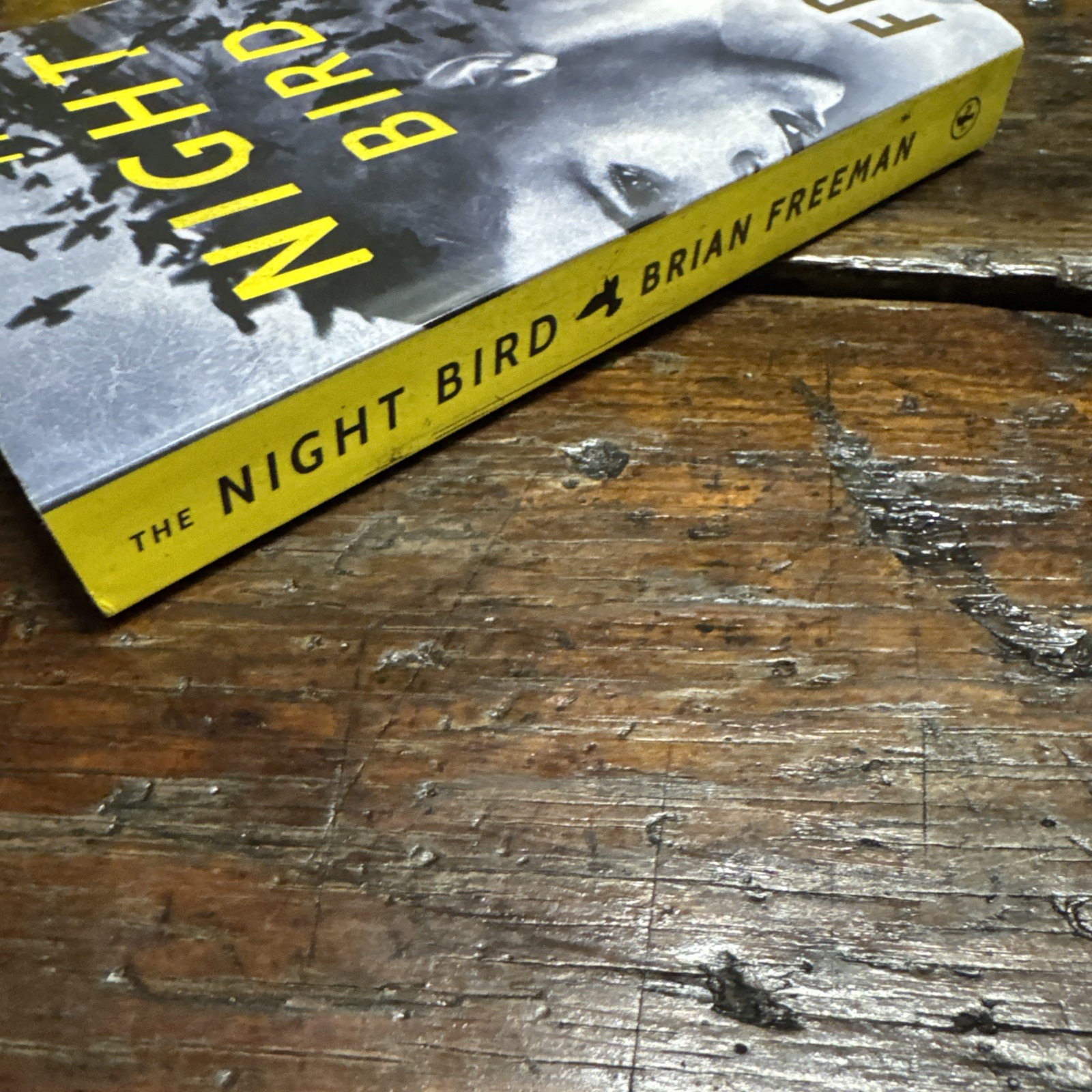 Night Bird by Brian Freeman (2017, Trade Paperback) 1st Edition