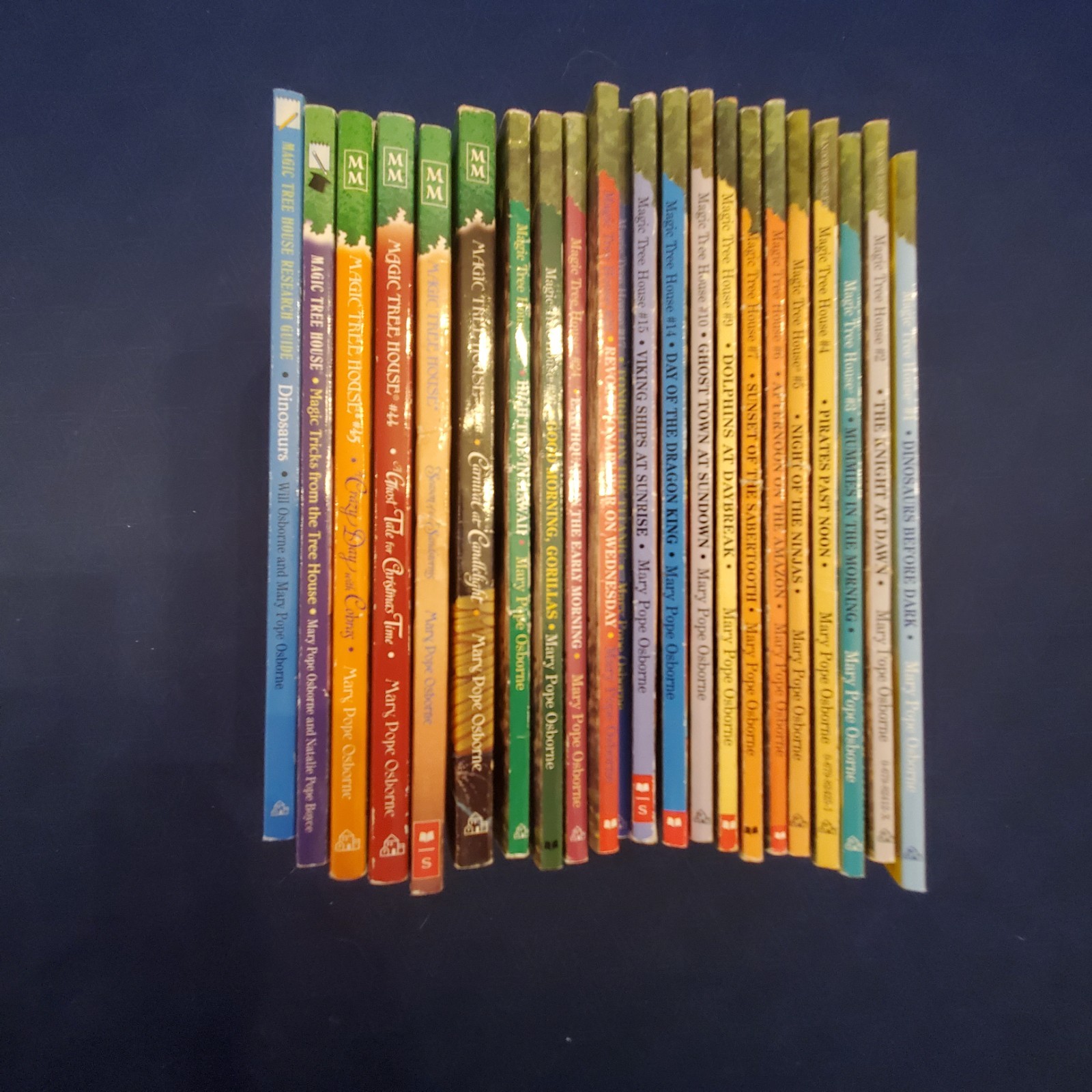 Magic Tree House Series Mary Pope Osborne Lot of 22 Paperback Books