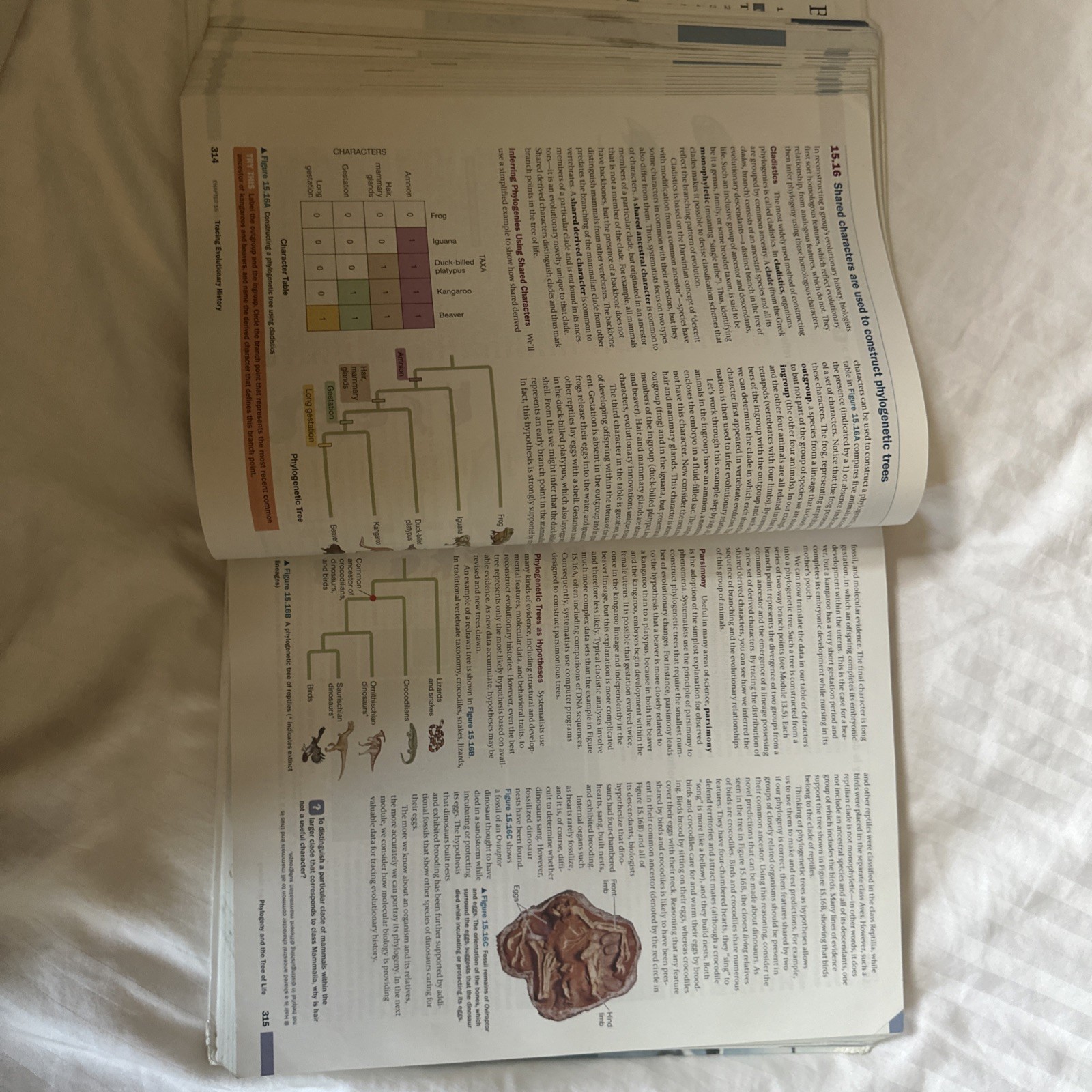 Campbell Biology Concepts & Connections, 9th edition