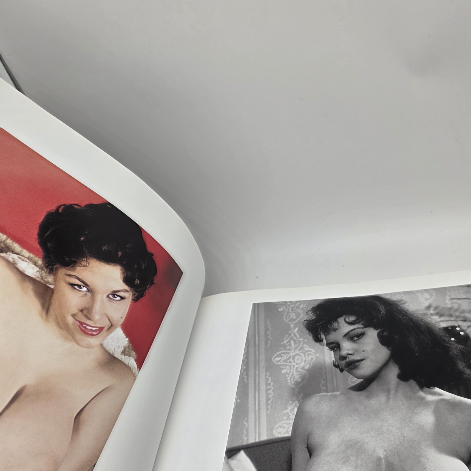 Big Book of Breasts by Dian Hanson (2006, Hardcover) Erotica Adult Nudity