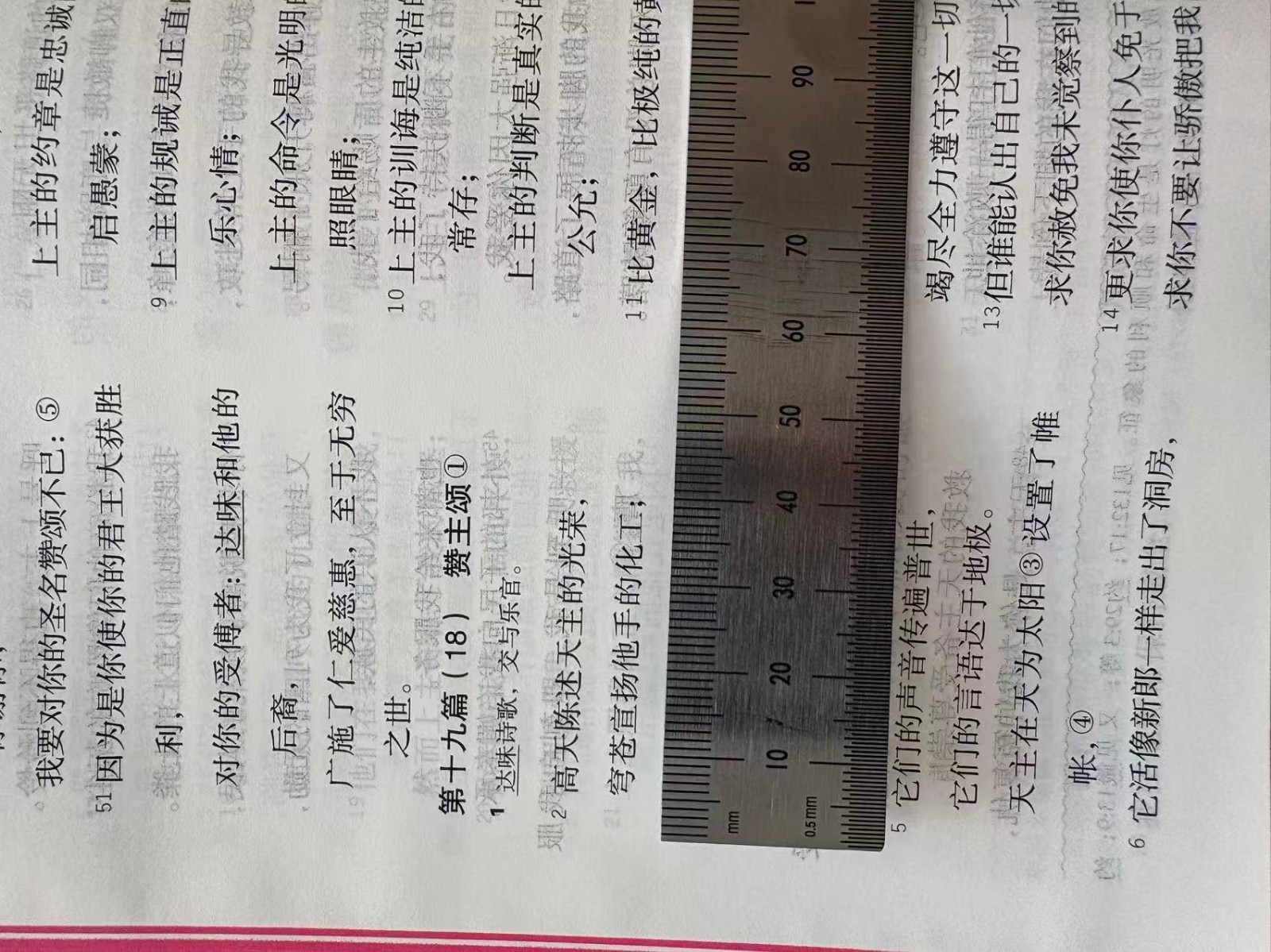 Catholic Chinese Bible Studium Biblicum 思高圣经 天主教 简体中文大字 25K 红边 US Stock 美国本土包邮发货