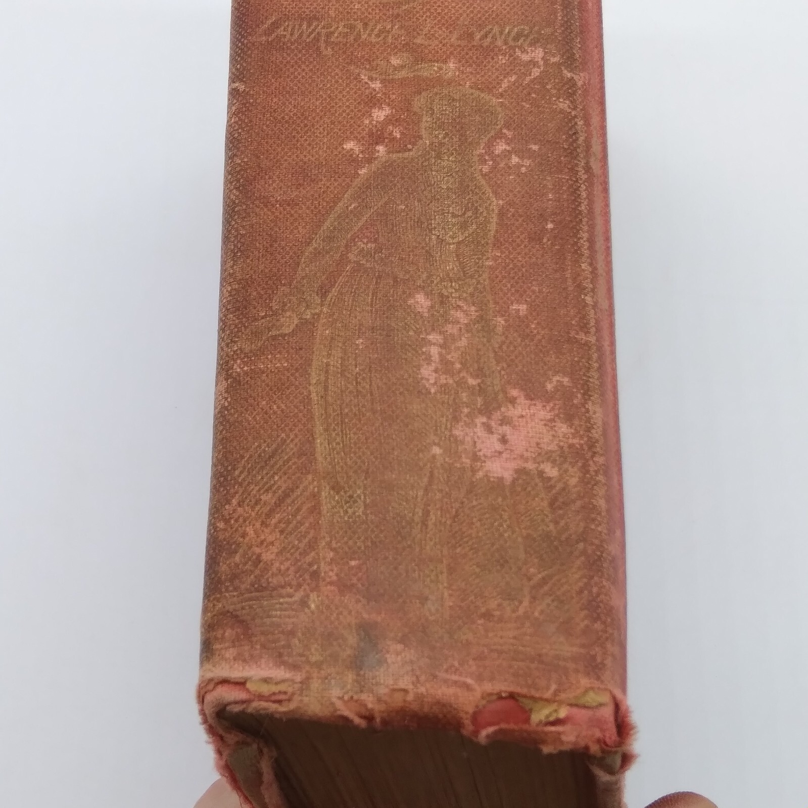 MADELINE PAYNE, THE DETECTIVES DAUGHTER by Lawrence L. Lynch 1885 HC Rare