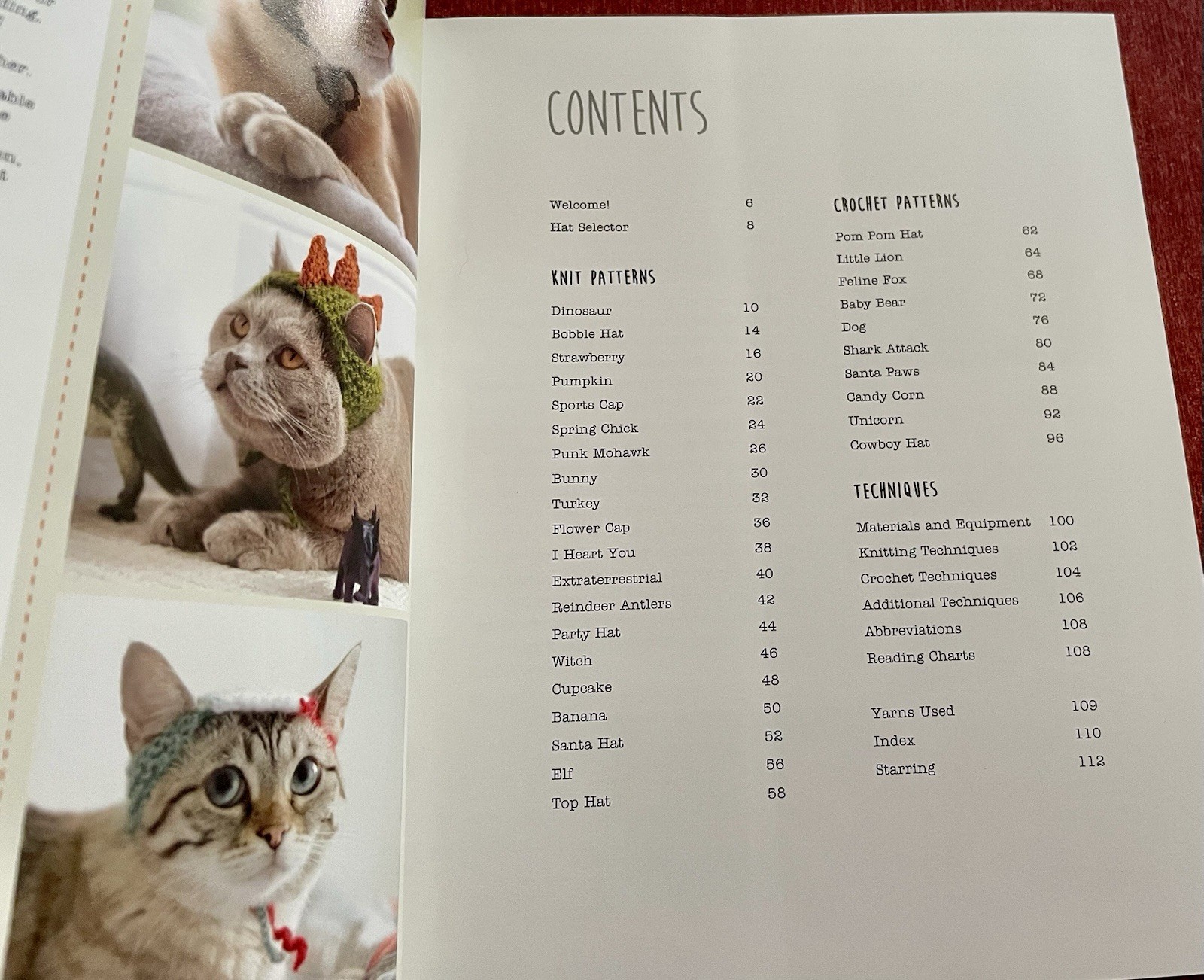 Cats in Hats: 30 Knit & Crochet Patterns for Your Kitty- Sara Thomas EUC PB 2015