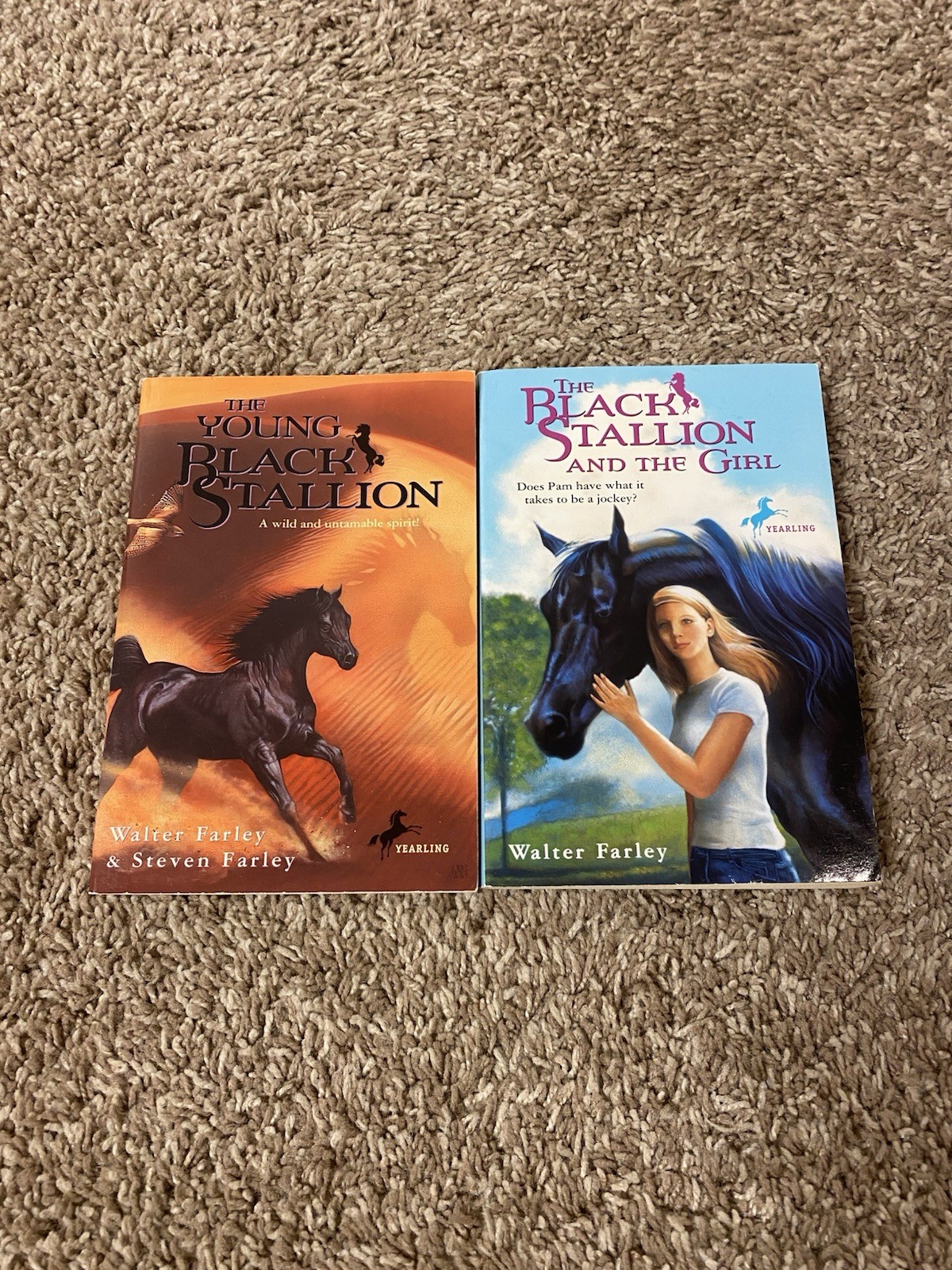 Lot of 12 The Black Stallion Series By Walter Farley Paperback