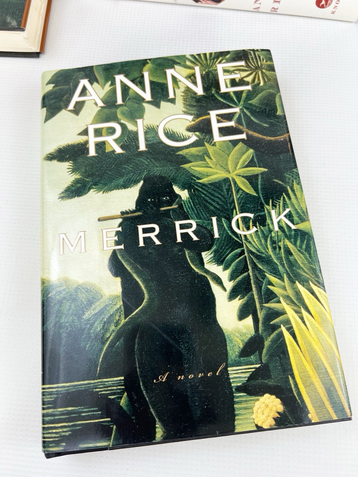 Anne Rice Hardcover Book Lot Vampire Others Most First Editions Collection Of 8