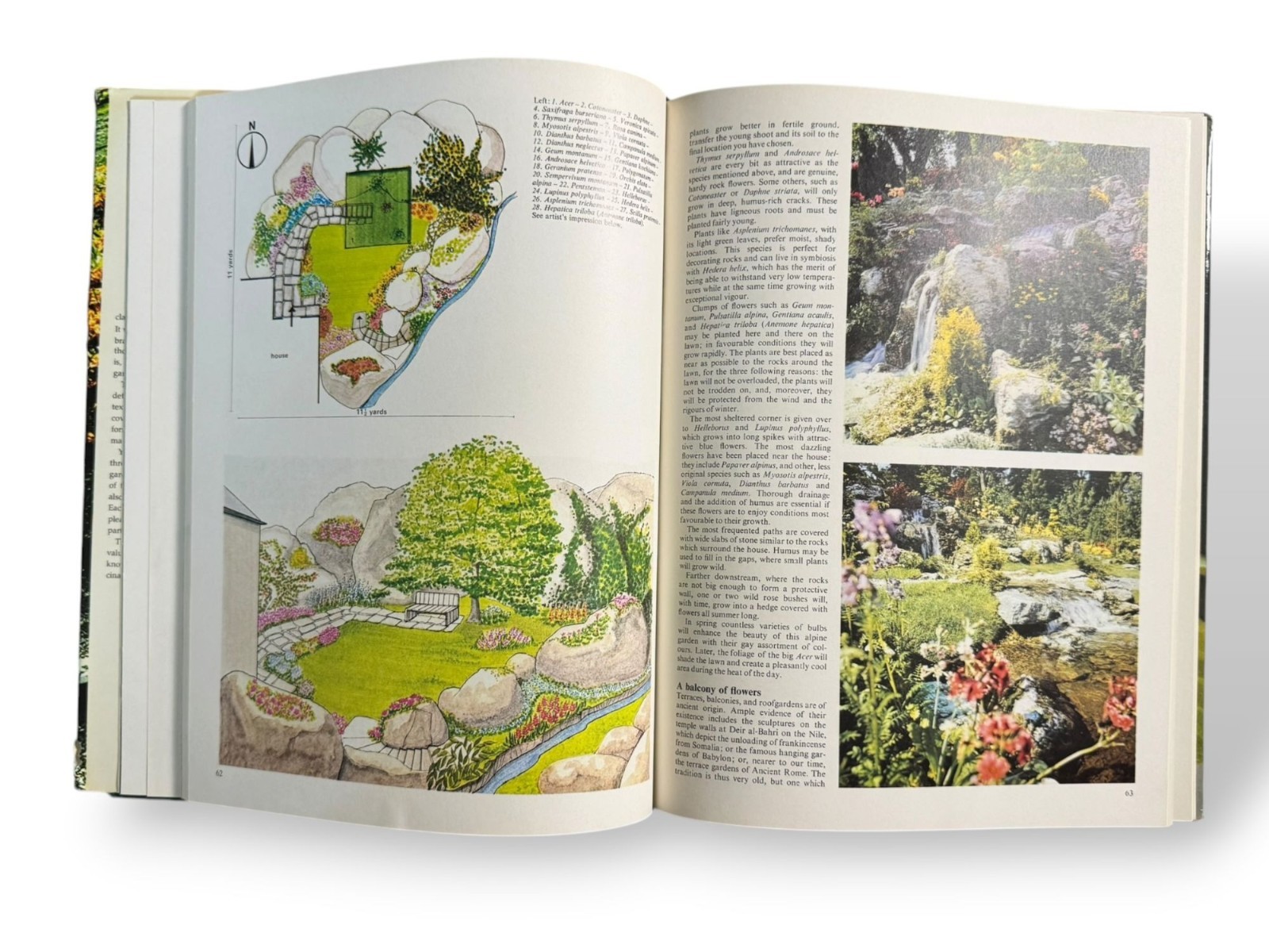 Plants & Flowers Vintage Gardening Hardcover Book W/Dust Jacket – 1974