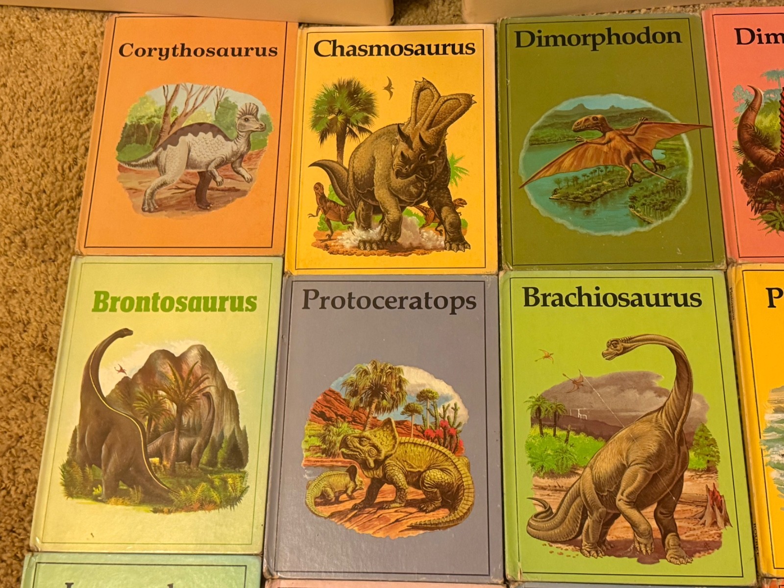 Dinosaur Library Series Lot of 25Vintage 1980s Hardcover Books Rourke VGC READ