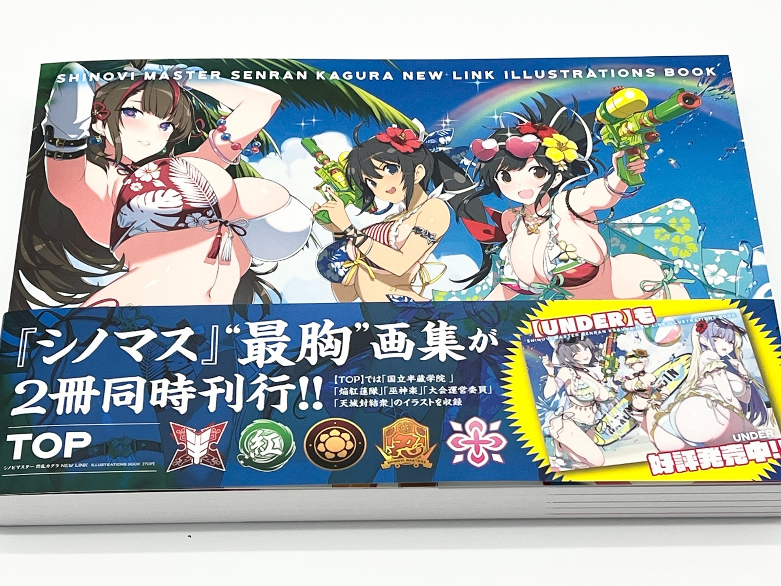 Shinobi Master Senran Kagura New Link Illustrations Book Vol 1-2 Japanese Text