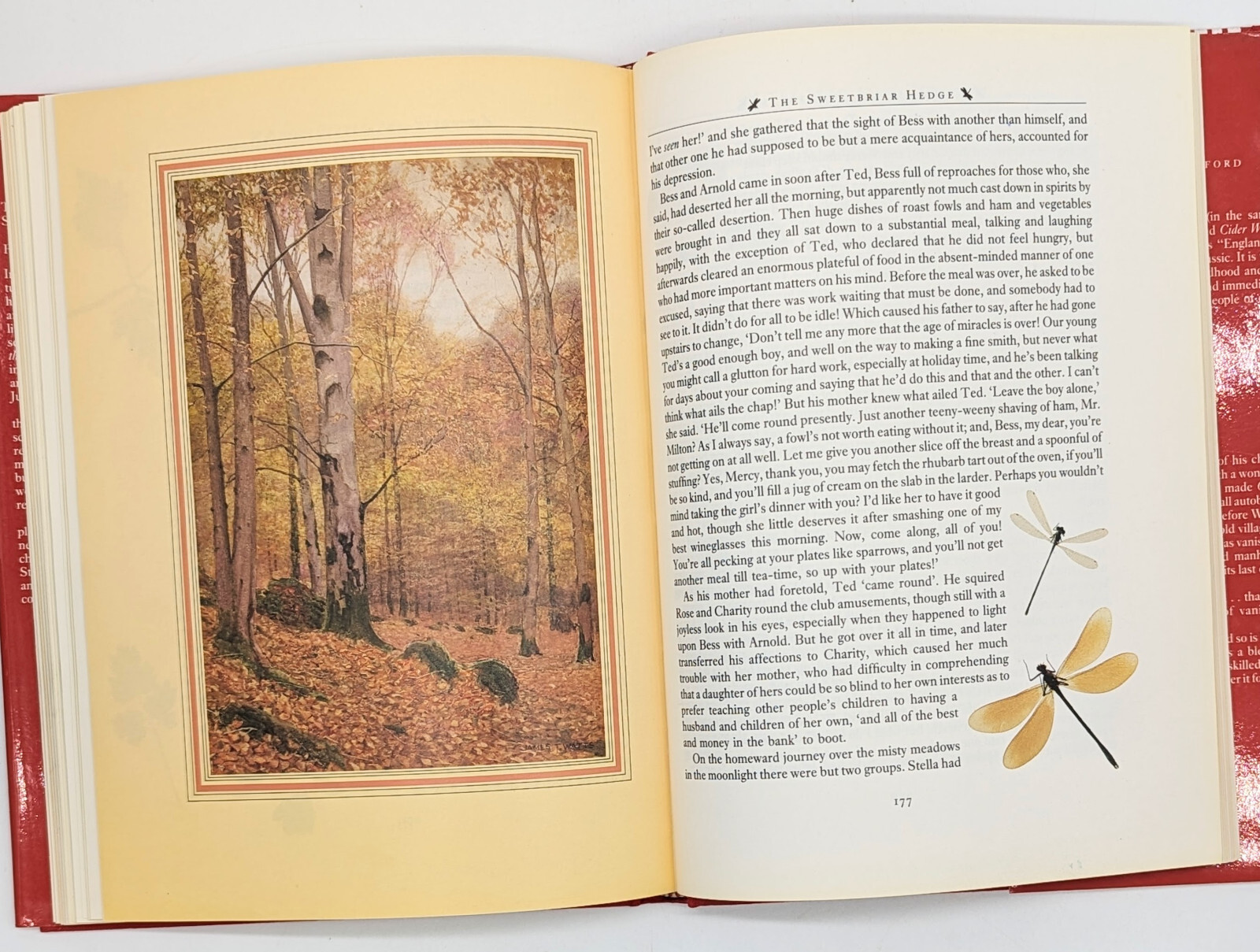 Still Glides The Stream by Flora Thompson, Illustrated US 1st Edition 1985 DJ/HC