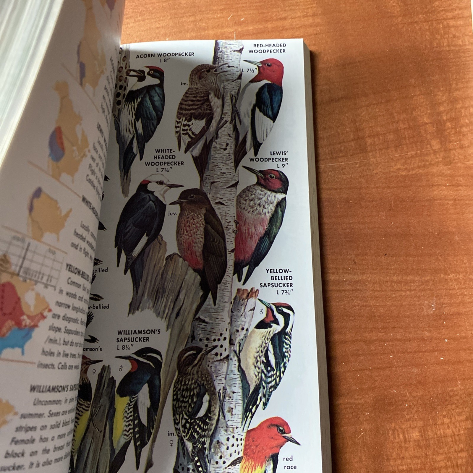 Guide to Field Identification Birds North America Golden Field Guide 1966 Trees